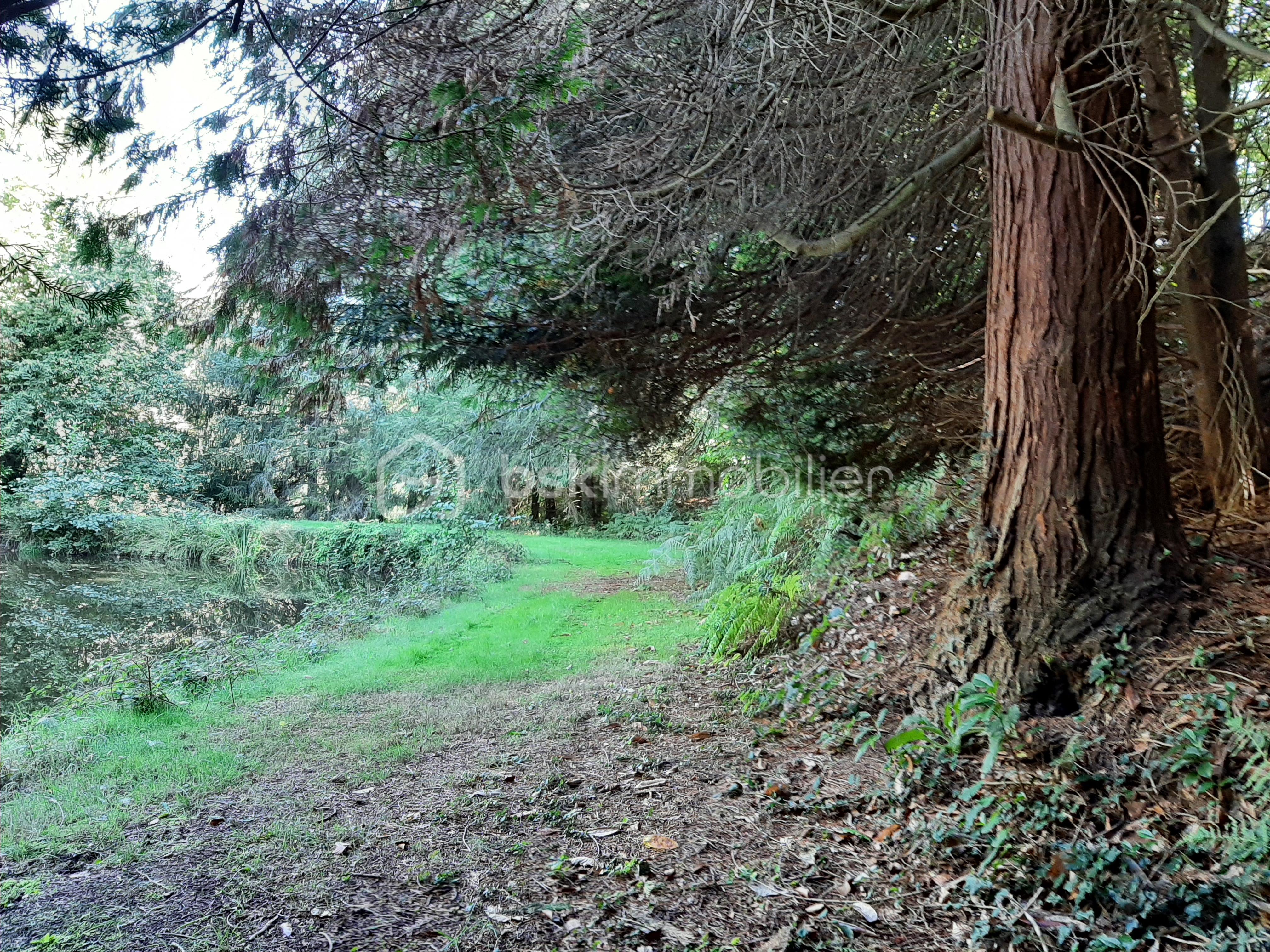 Terrain de loisirs de 9 275 m² - 20250918_120051 - Copie.jpg