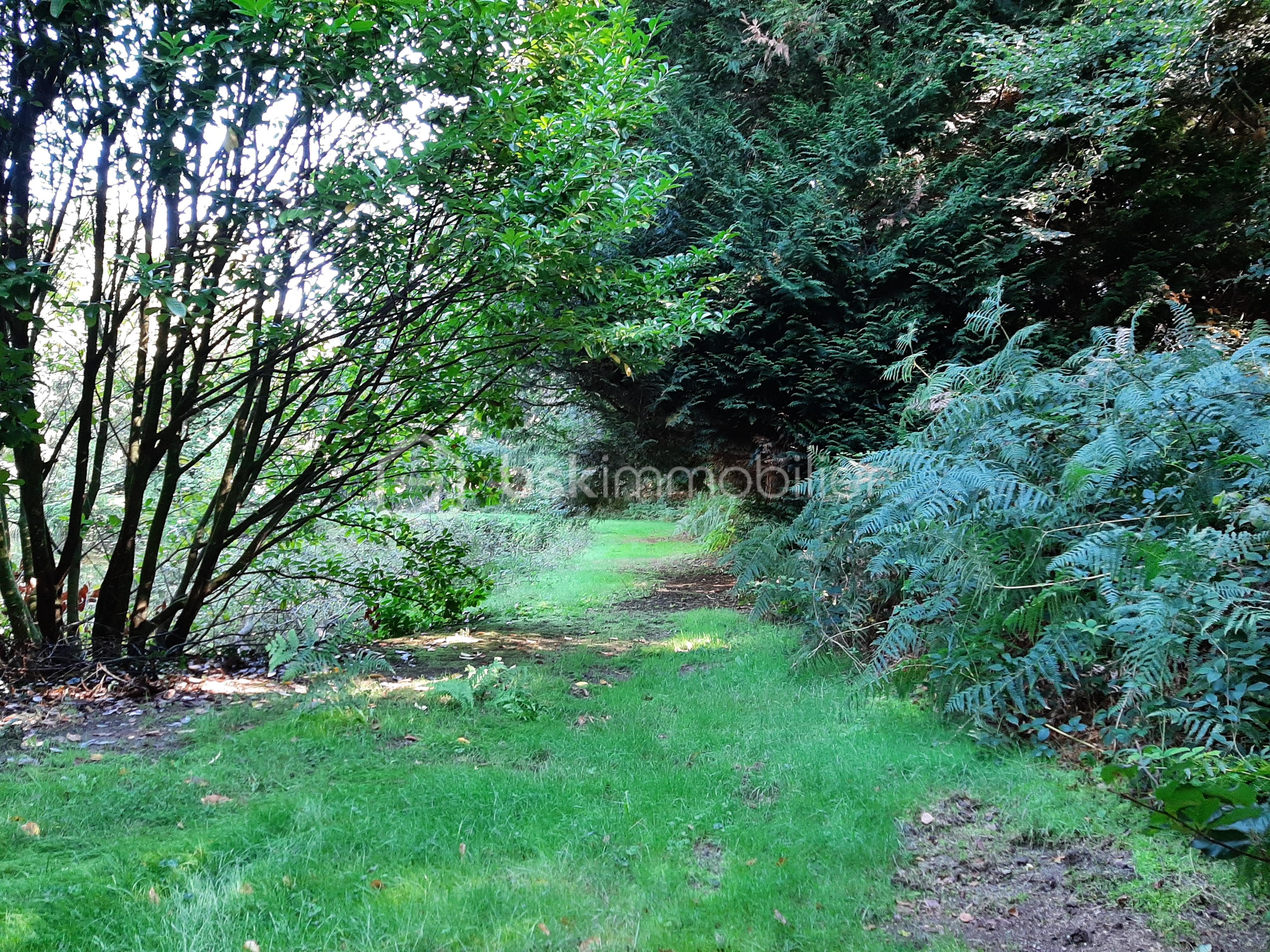 Terrain de loisirs de 9 275 m² - 20250918_120231 - Copie.jpg