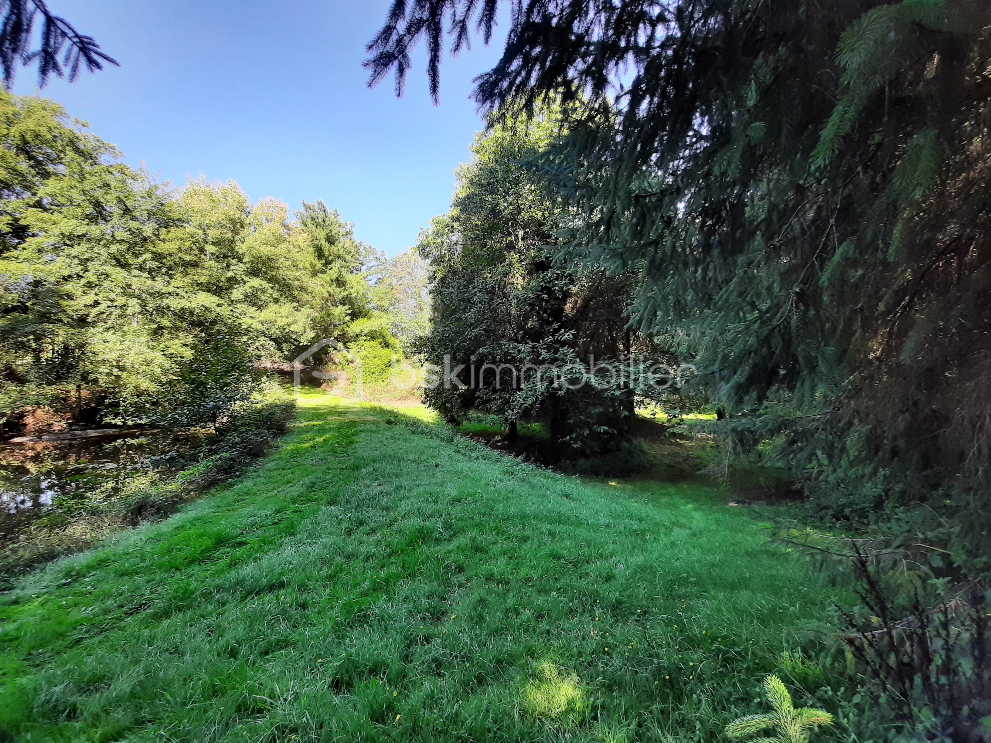 Terrain de loisirs de 9 275 m² - 20250918_115834 - Copie.jpg