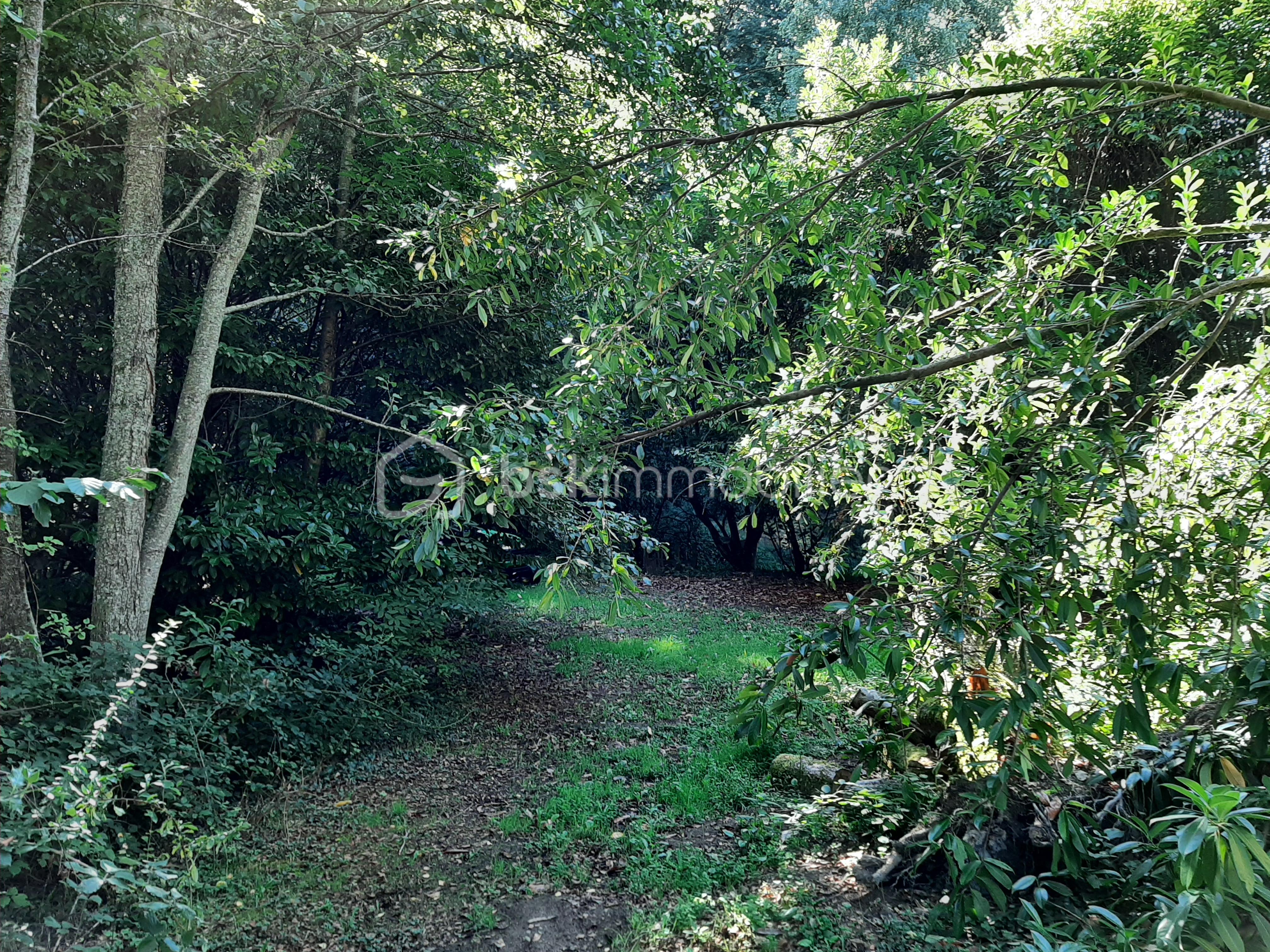 Terrain de loisirs de 9 275 m² - 20250918_114603 - Copie.jpg