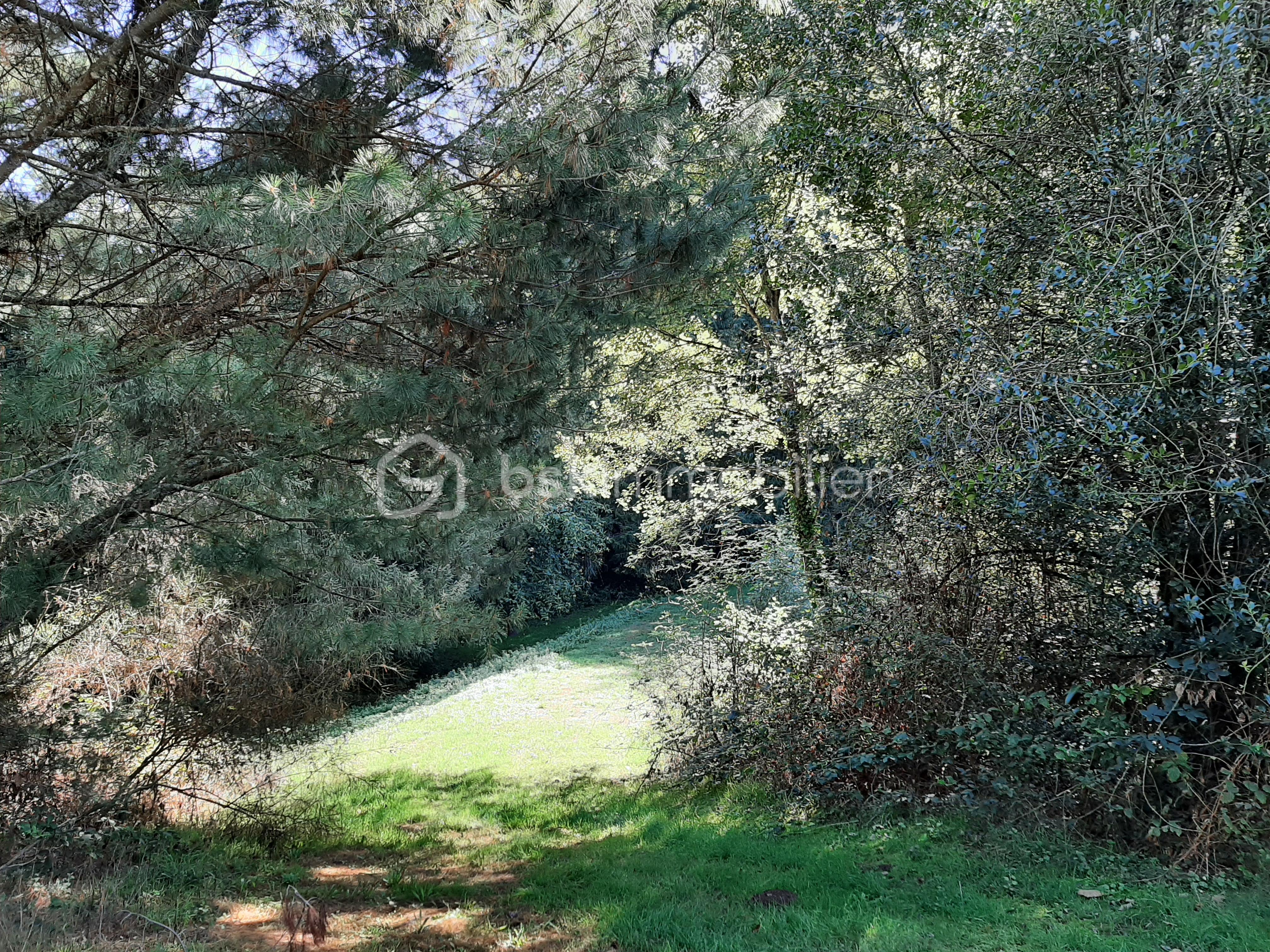 Terrain de loisirs de 9 275 m² - 20250918_114302 - Copie.jpg