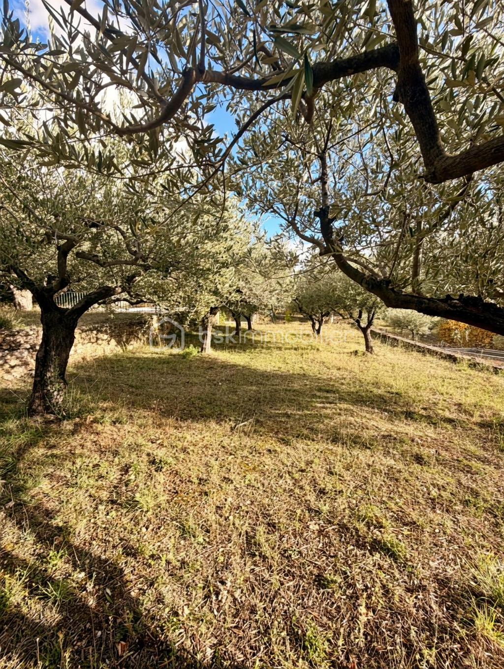 Maison de 154 m² - 782c890c16d96ed-1.jpg