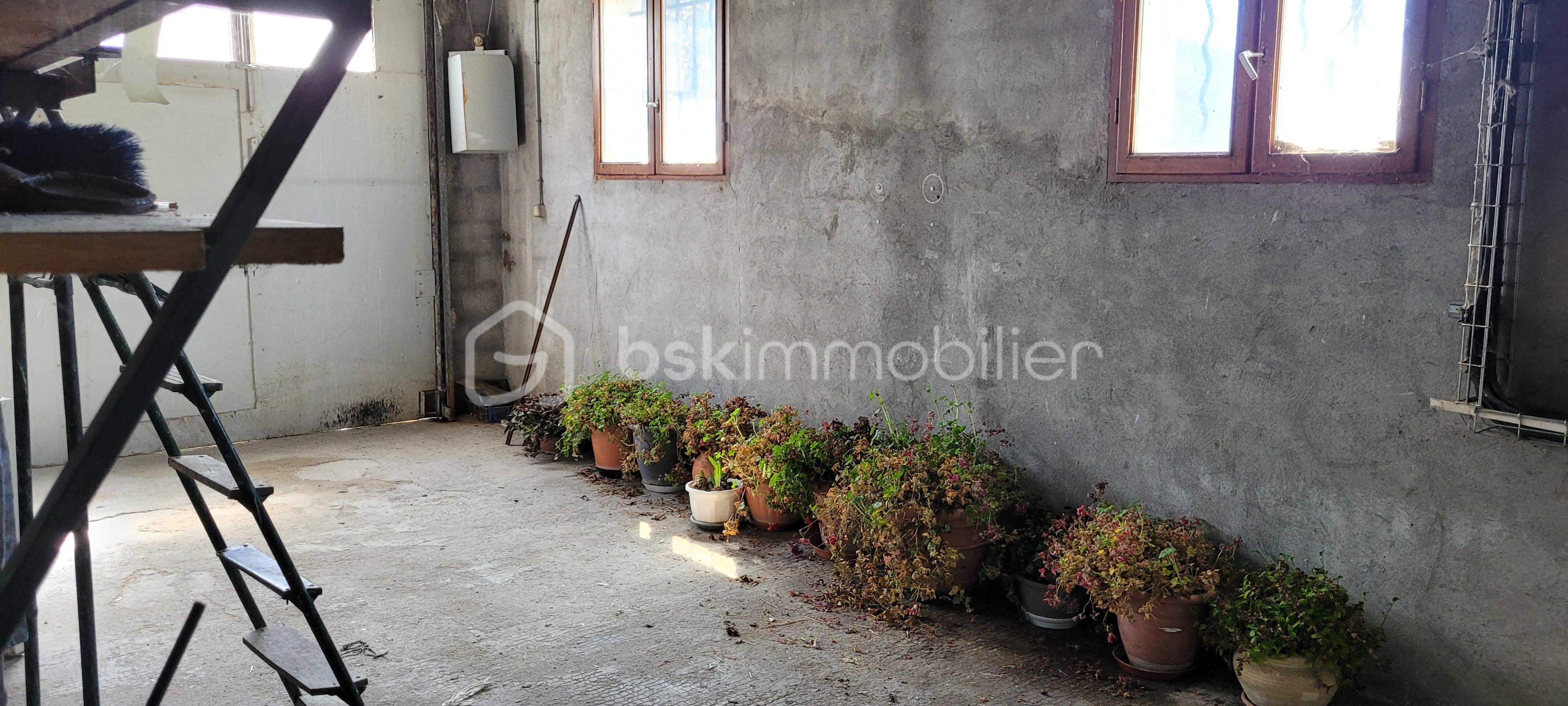 Immeuble mixte de 445 m² - L.jpg