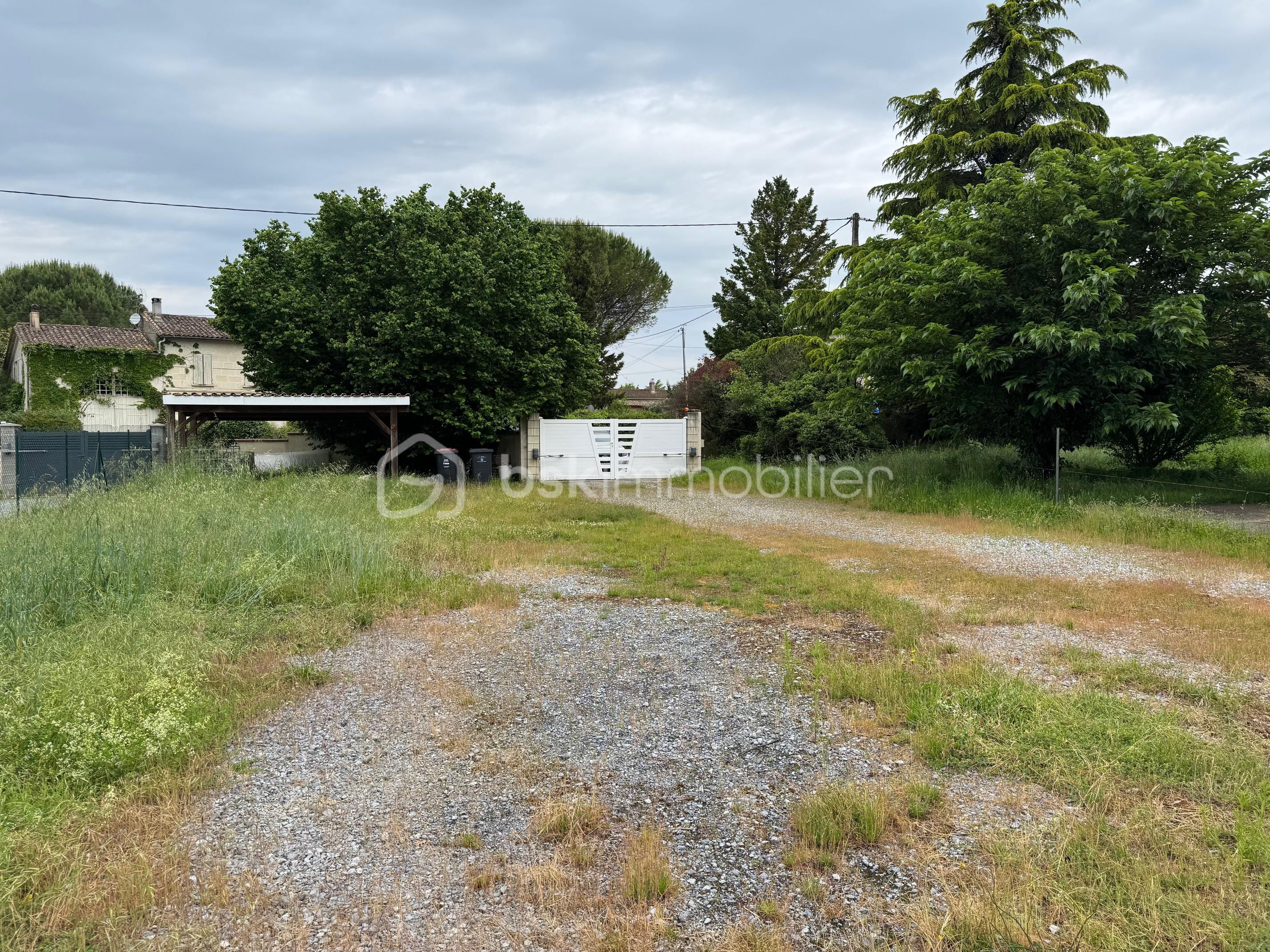 Terrain de 646 m² - IMG_3787.jpg