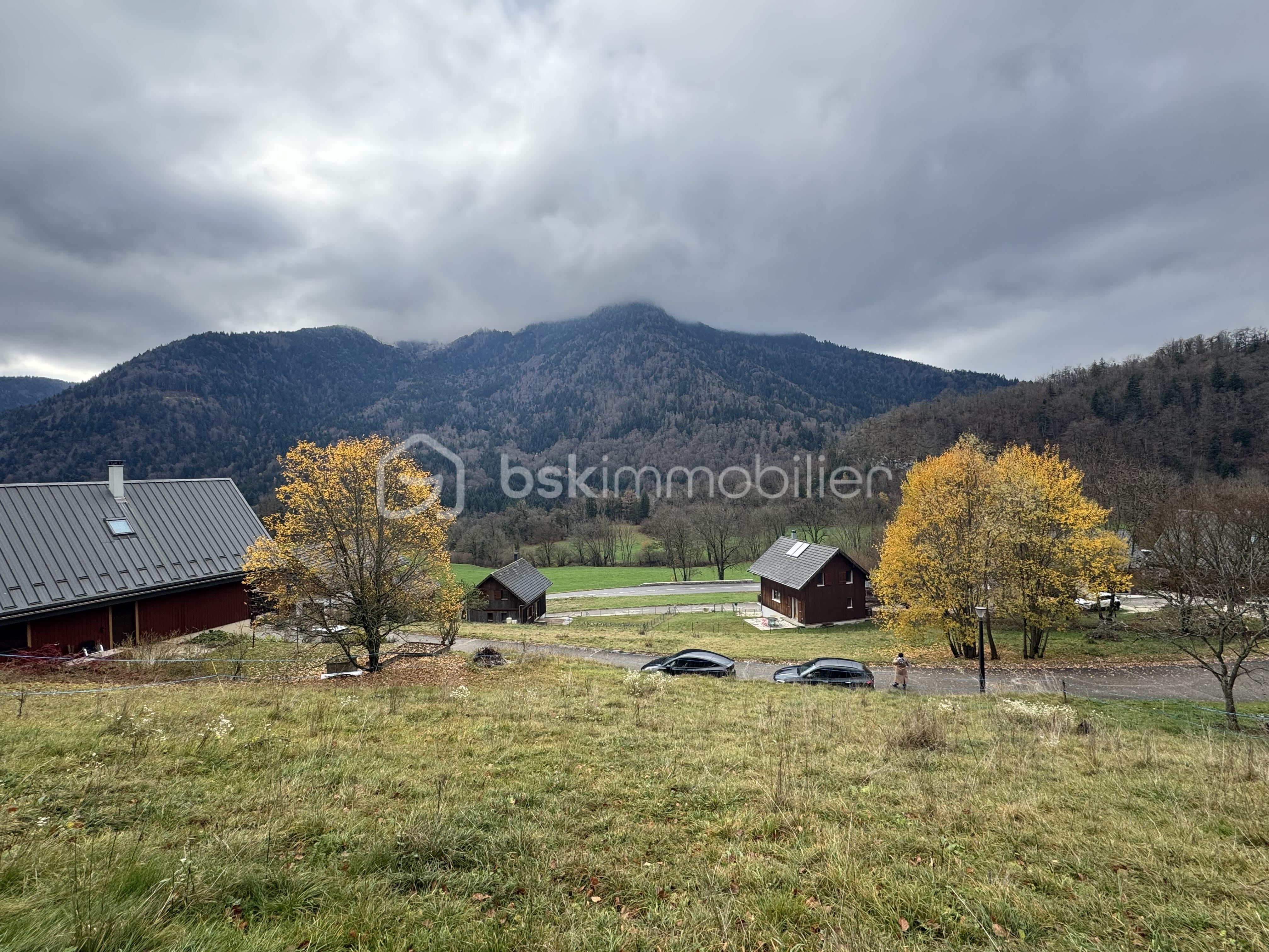 Lotissement de 607 m² - IMG_9464.jpg