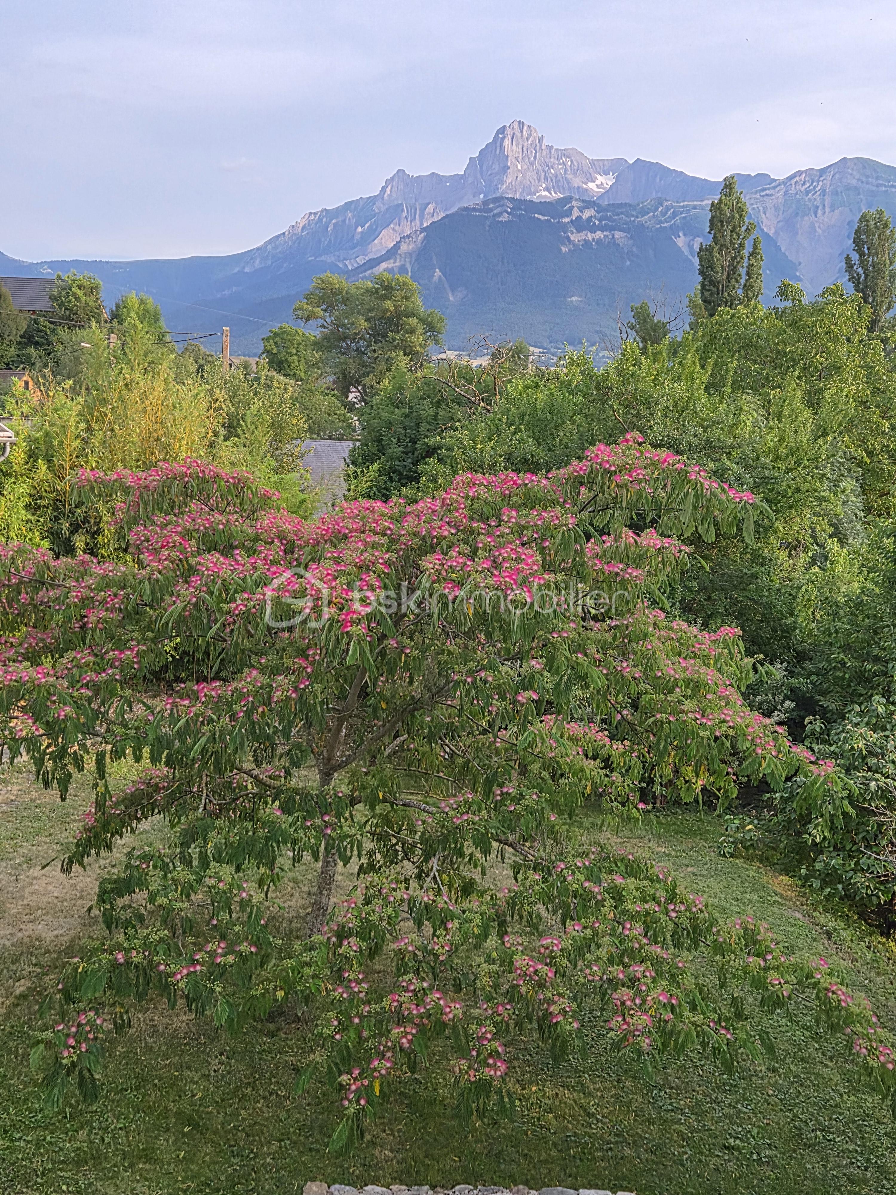 20260626_201535.jpg