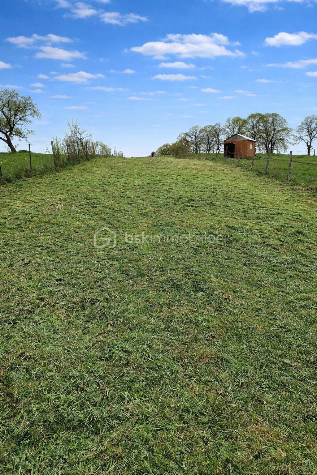 Chemin herbeux menant à un abri.png
