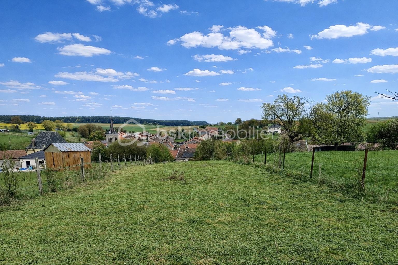 Paysage rural sous ciel bleu clair.jpeg