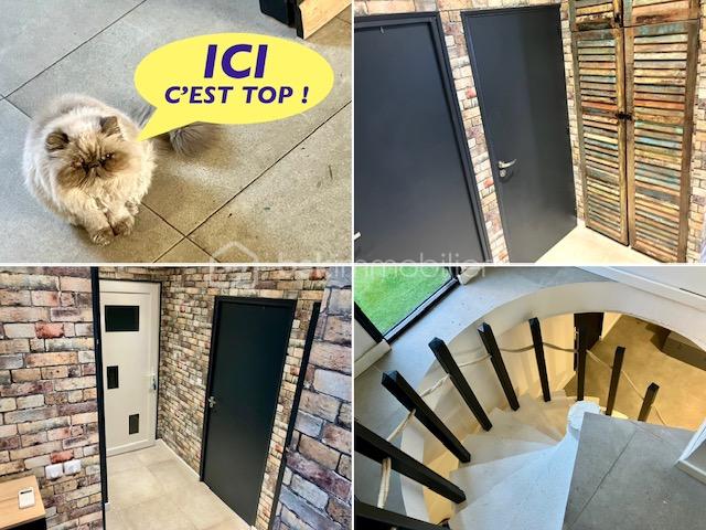 Maison de 620 m² - dumoulin_amalgame_chat.jpg