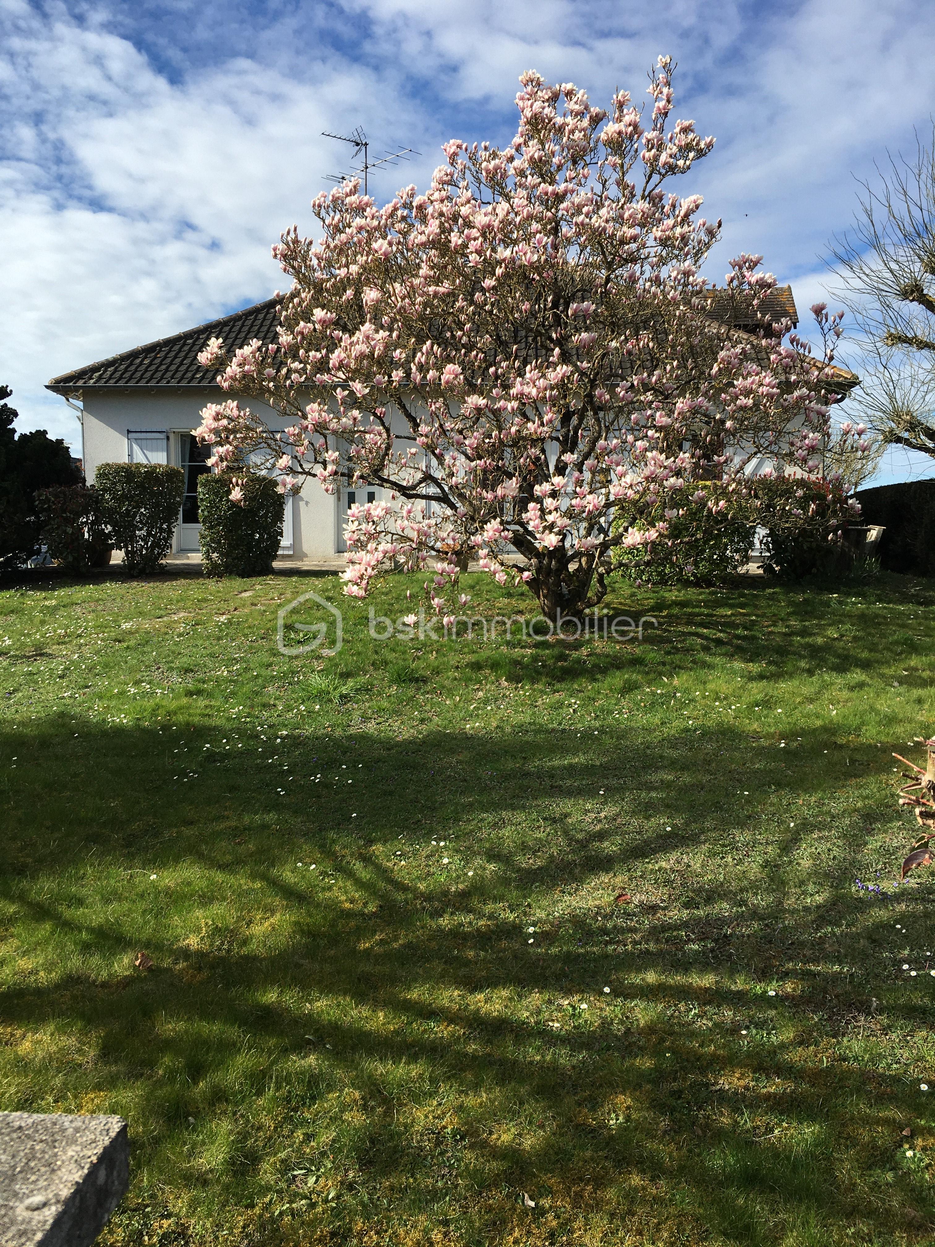 Maison traditionnelle de 100 m² - IMG_2414.jpg