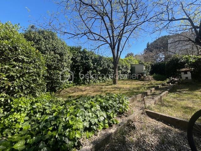 jardin 1.jfif