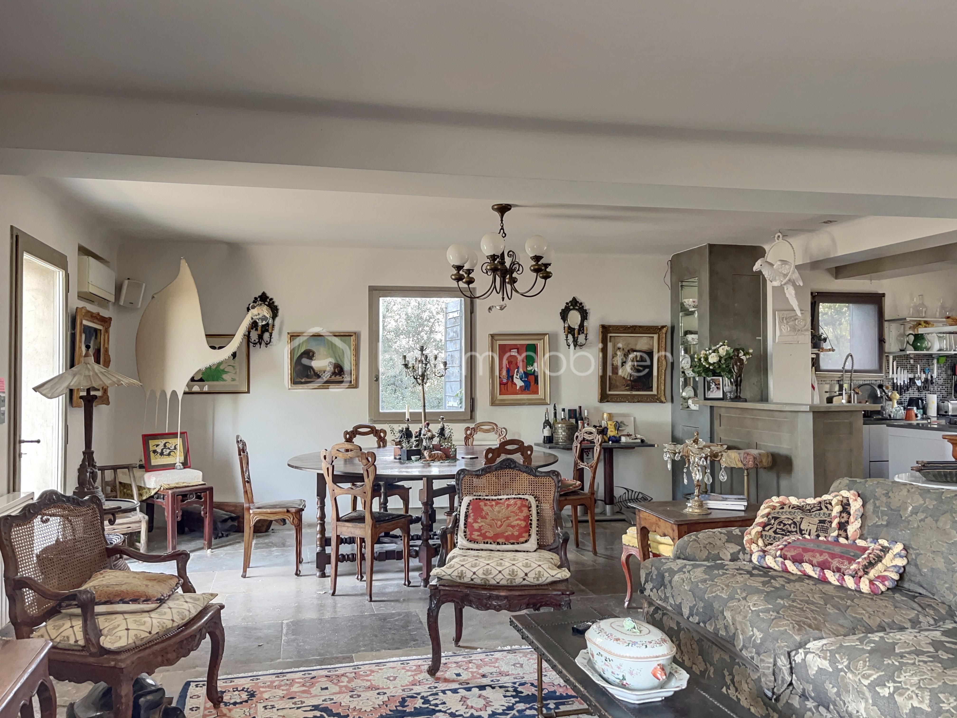Propriete de 341 m² - SALON-5.jpg