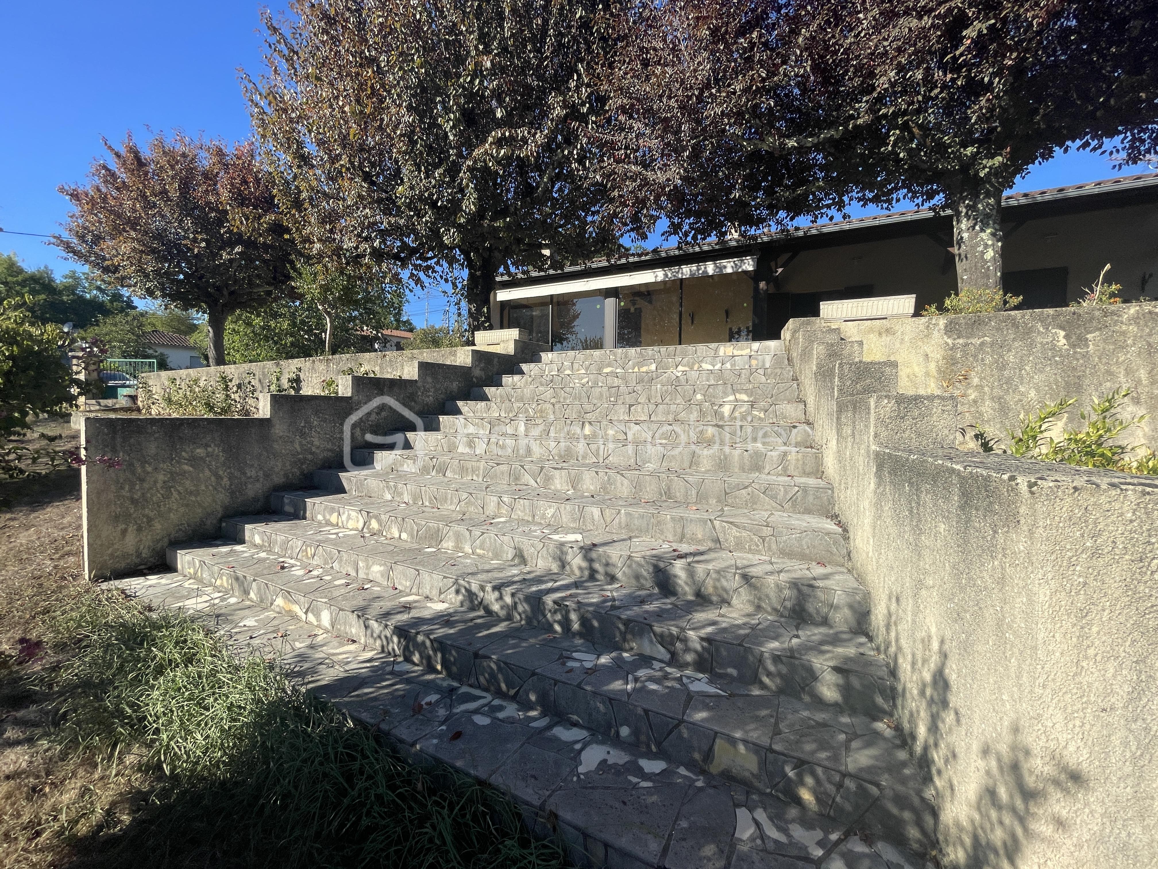 IMG_2531.jpeg