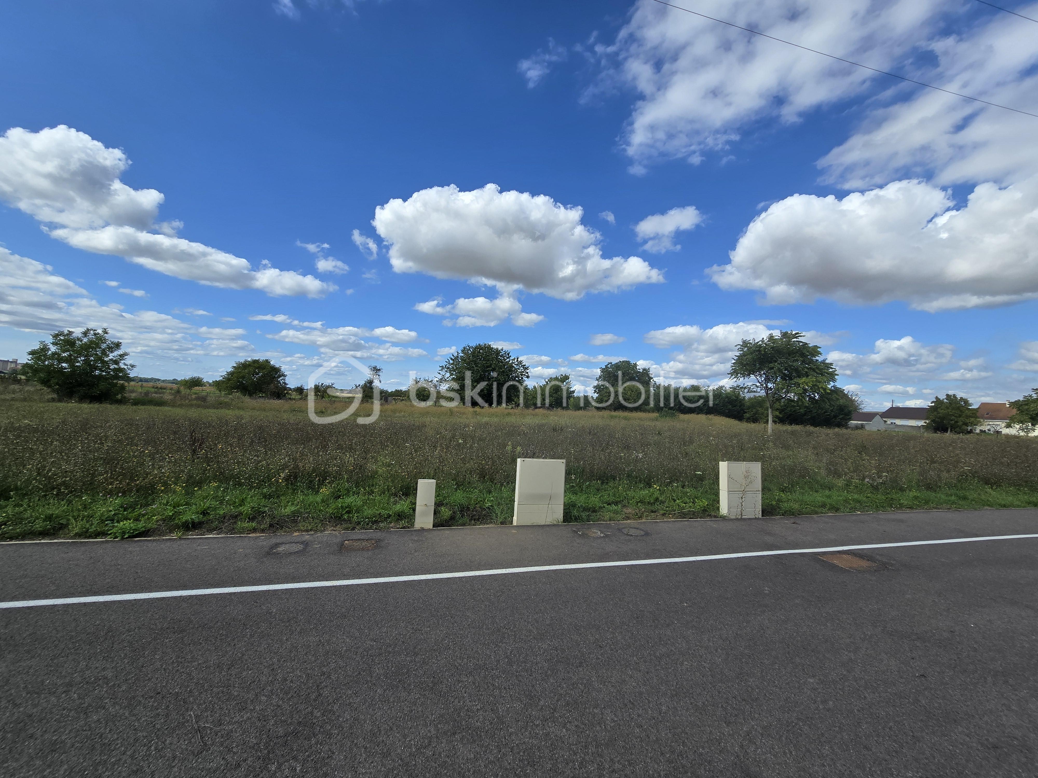 Terrain de 779 m² - 1000007221.jpg