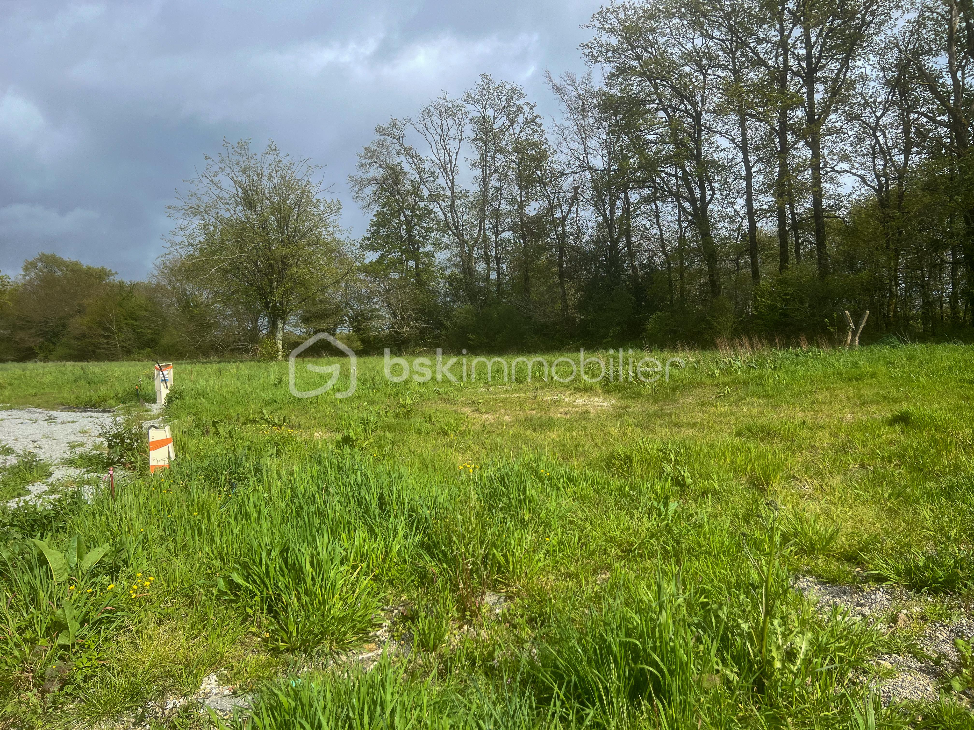 Lotissement de 494 m² - IMG_8811.jpg