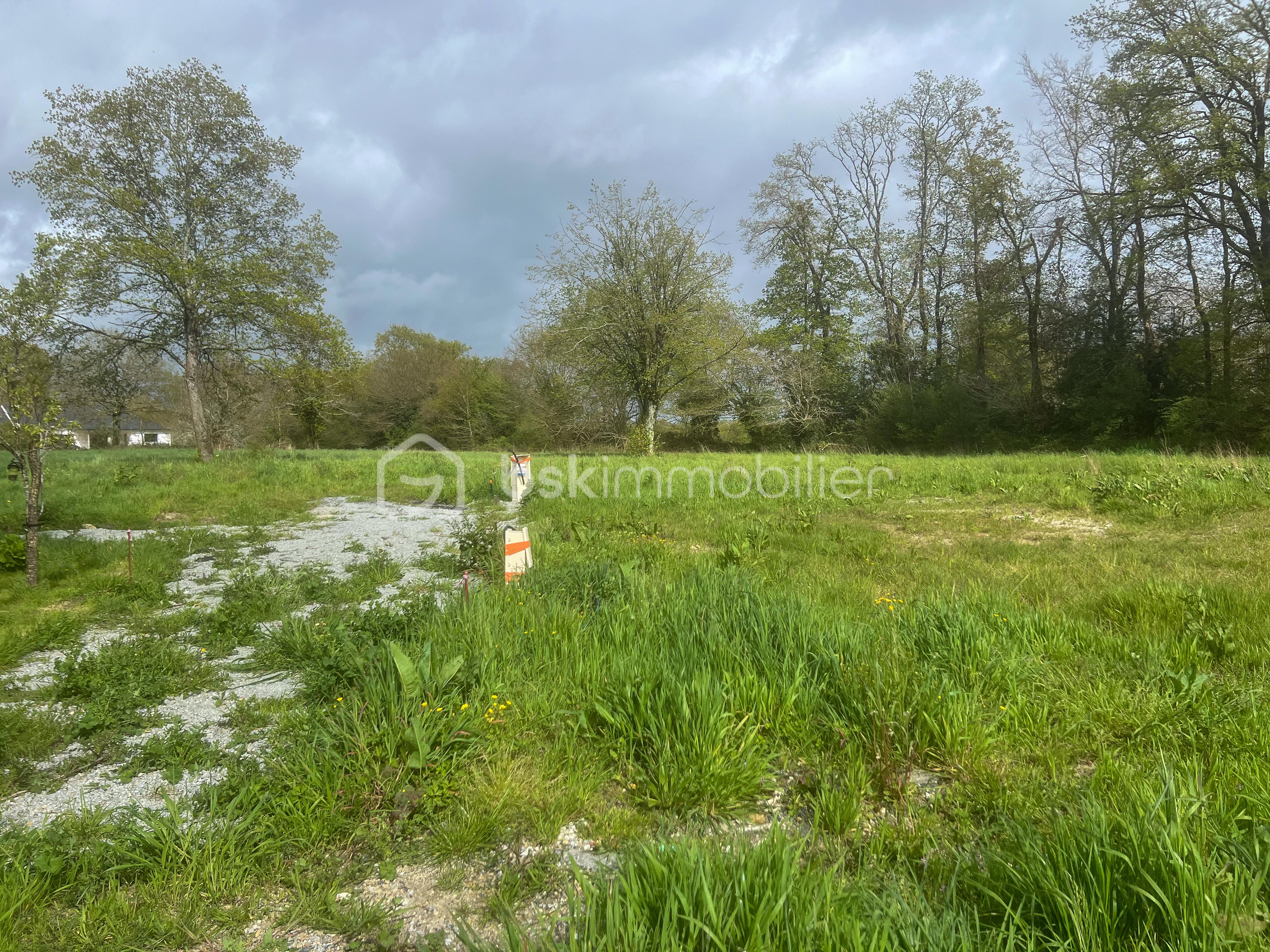 Lotissement de 494 m² - IMG_8812.jpg