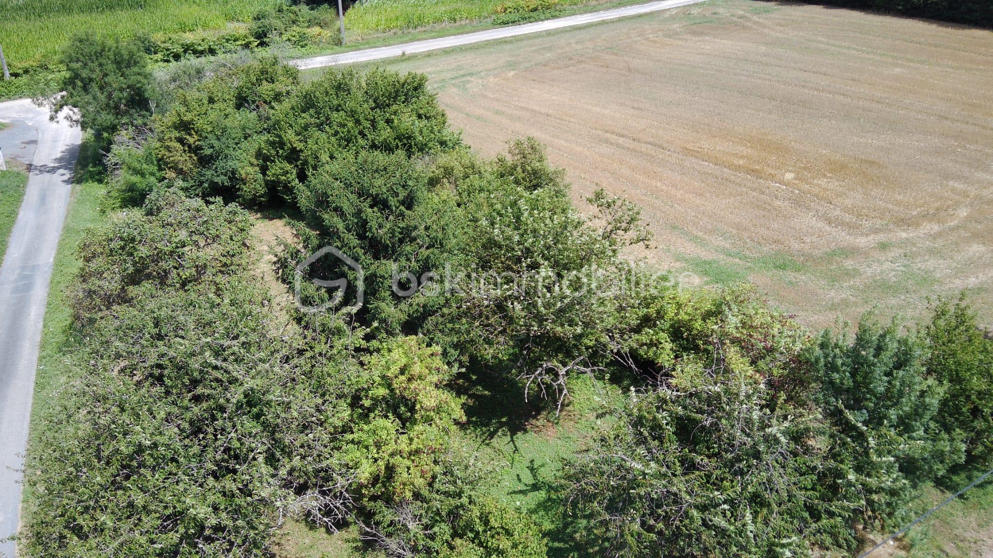 Corps de ferme de 126 m² - TERRAIN2.jpg