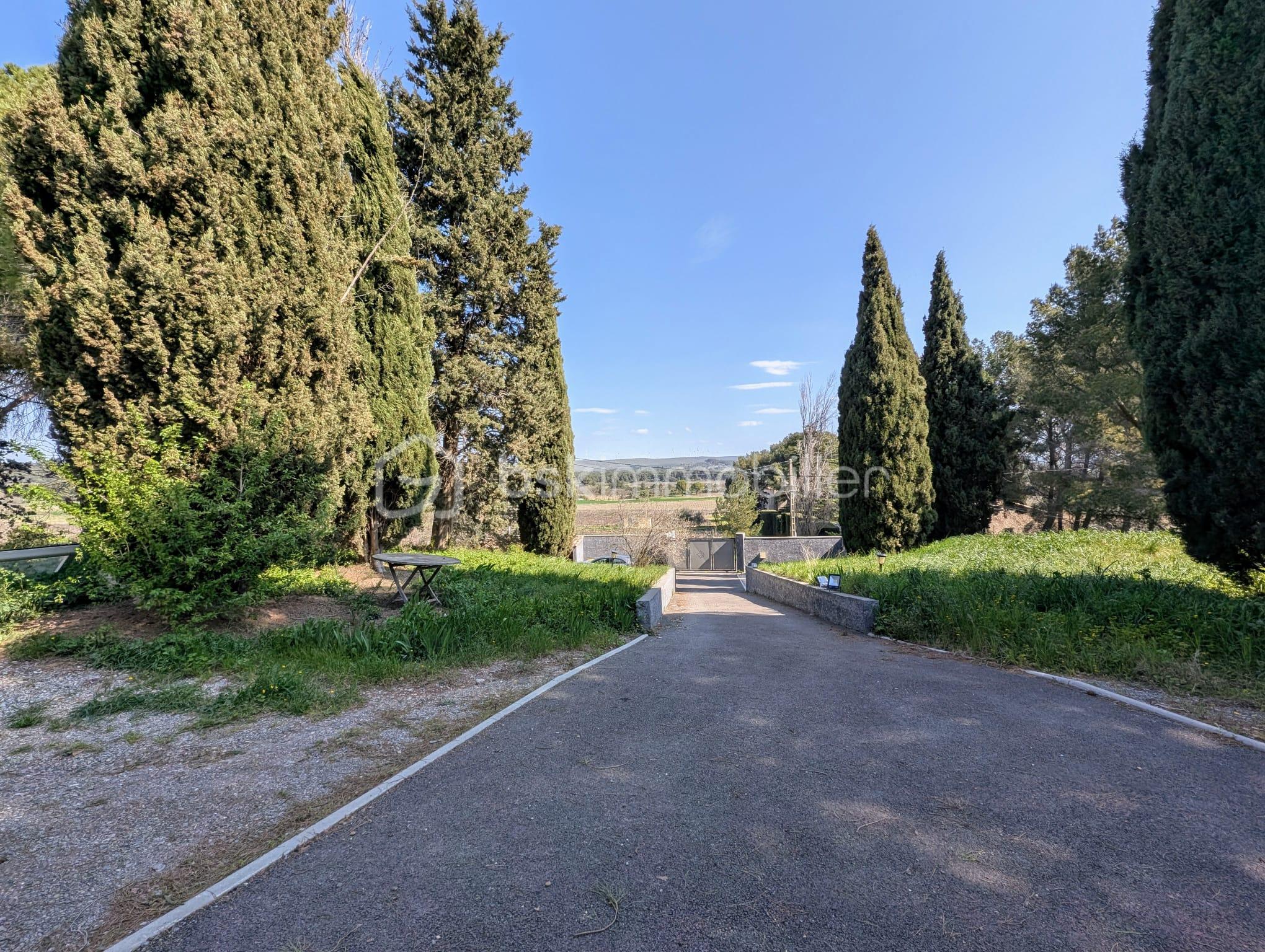 EXT VUE ALLEE.jpg