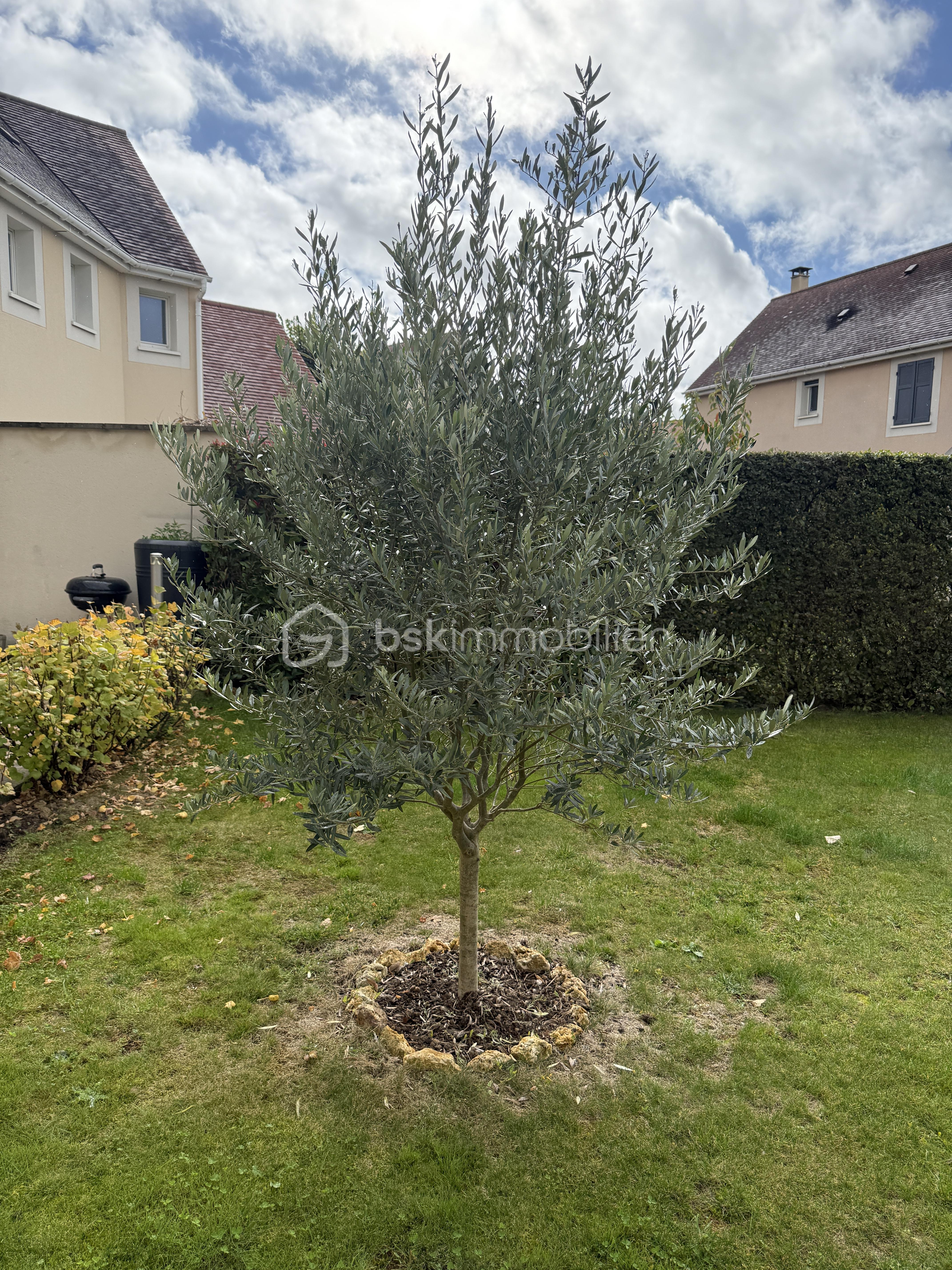 Maison de 100 m² - IMG_2122.jpeg