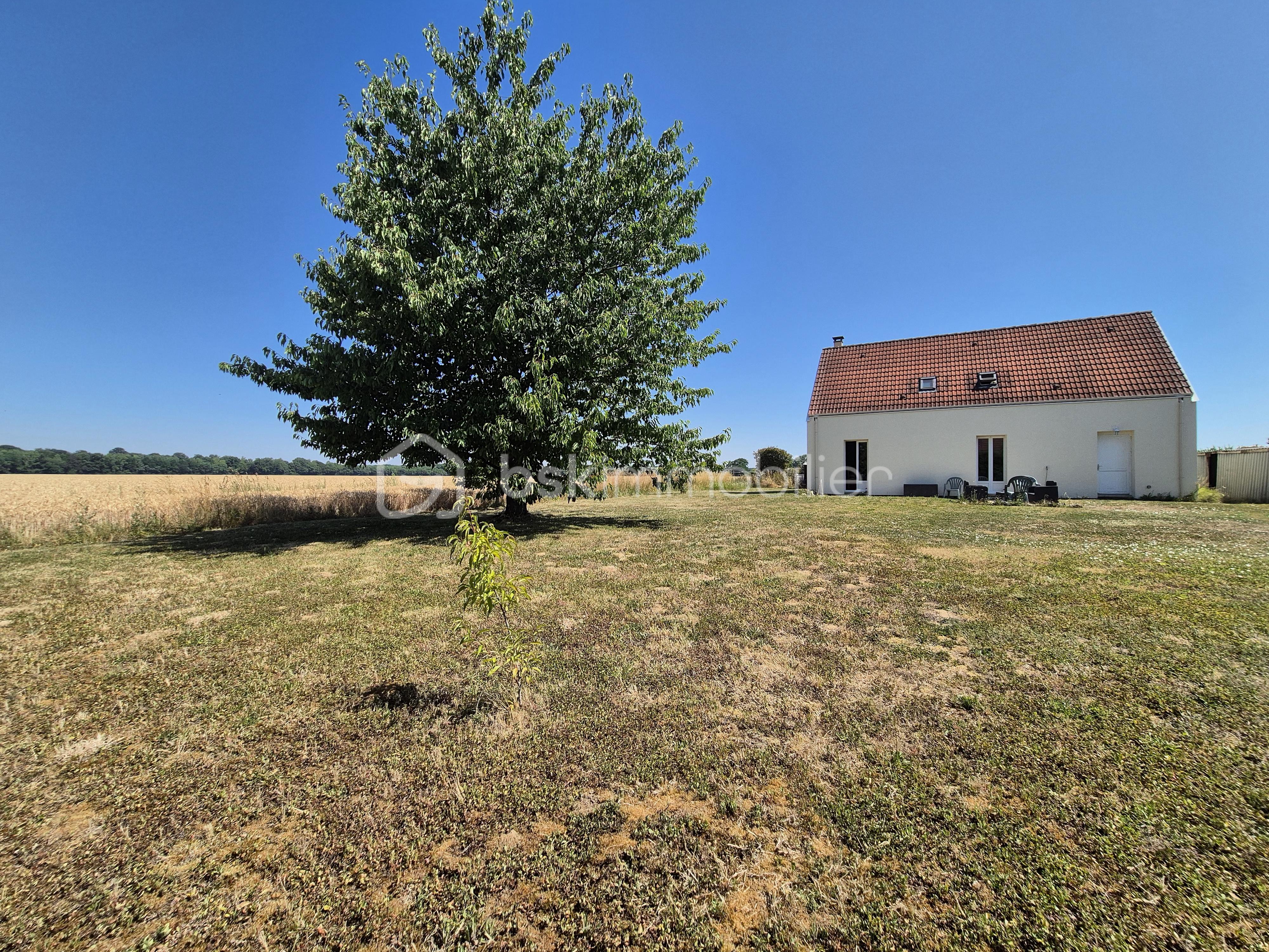 Extérieur arrière maison.jpg