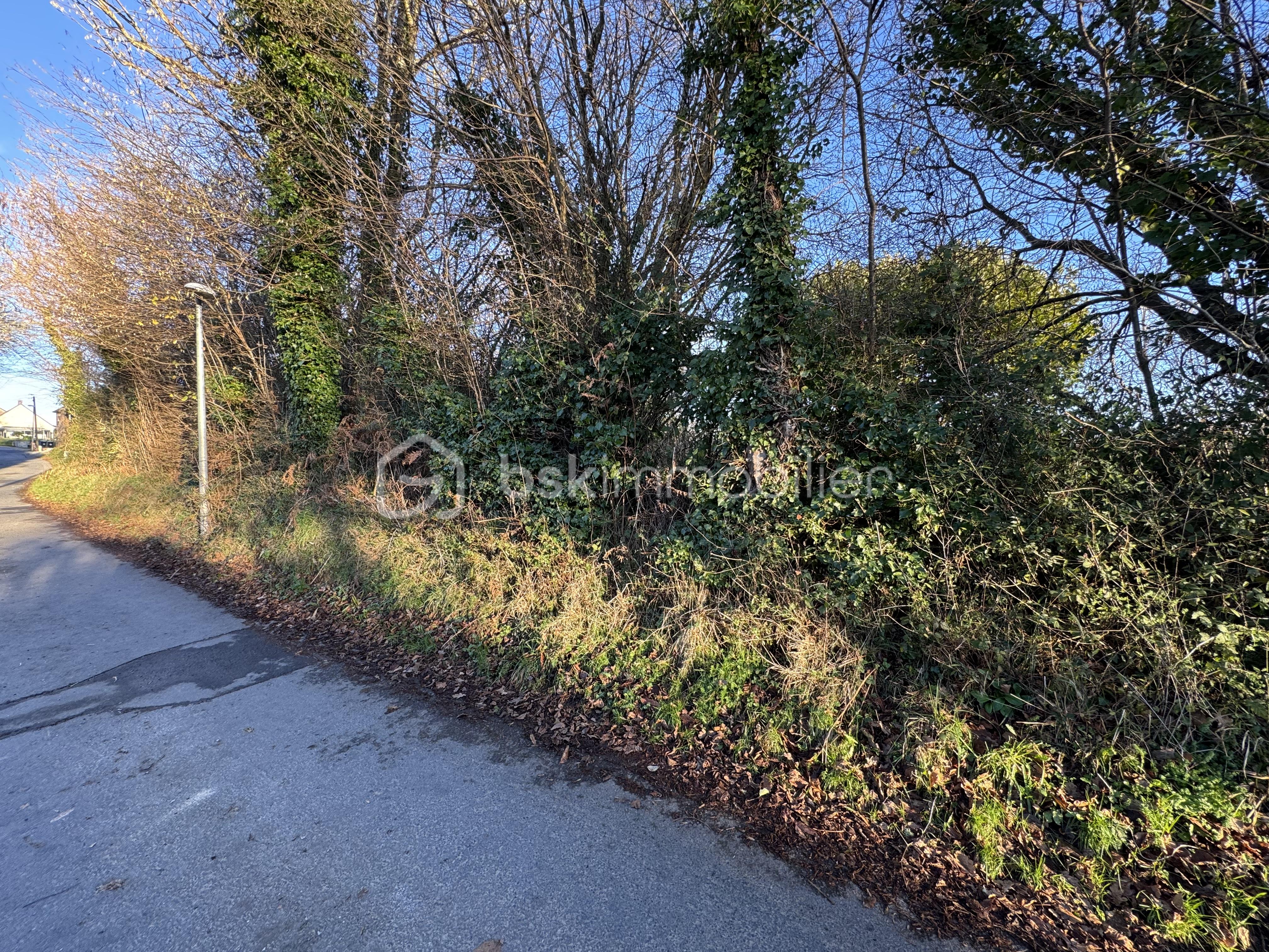 Terrain de 1 480 m² - IMG_4934.jpeg