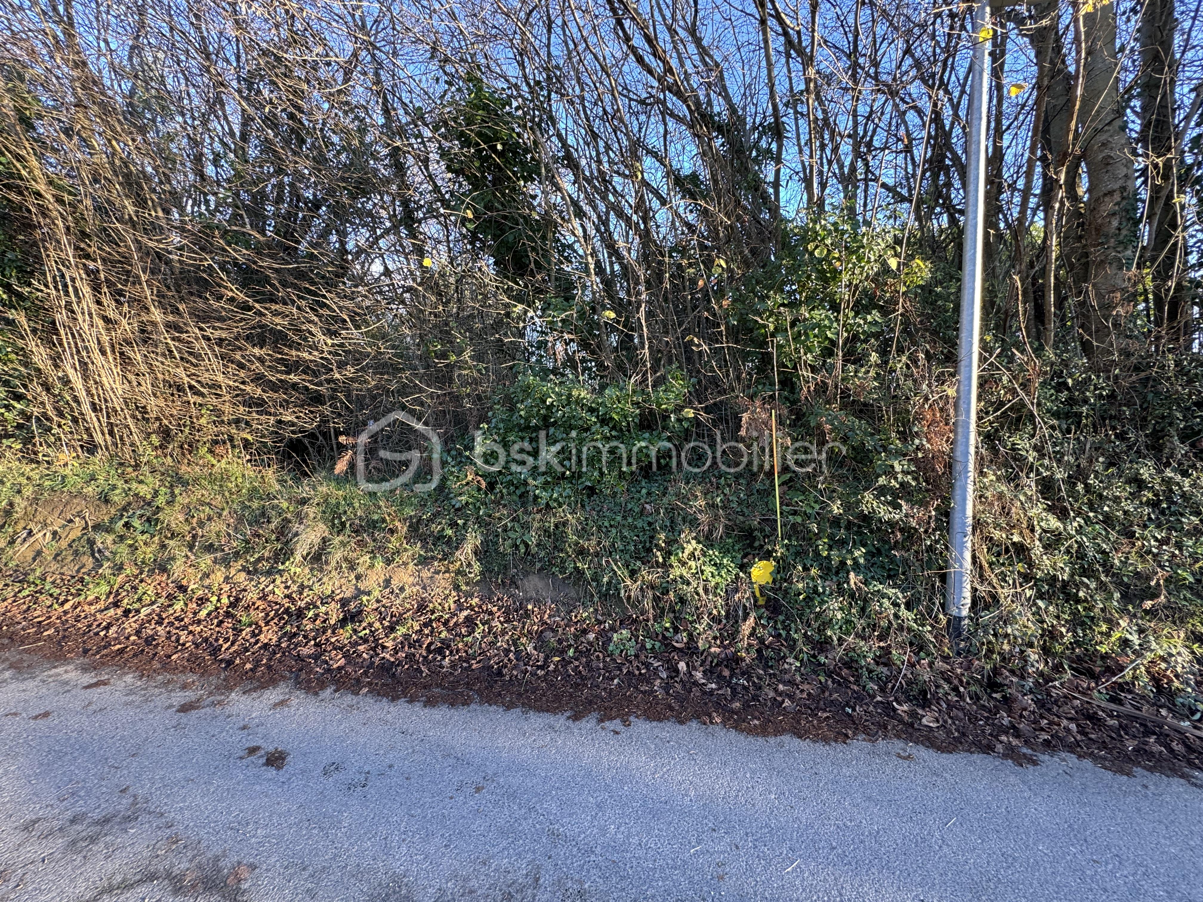 Terrain de 1 480 m² - IMG_4932.jpeg