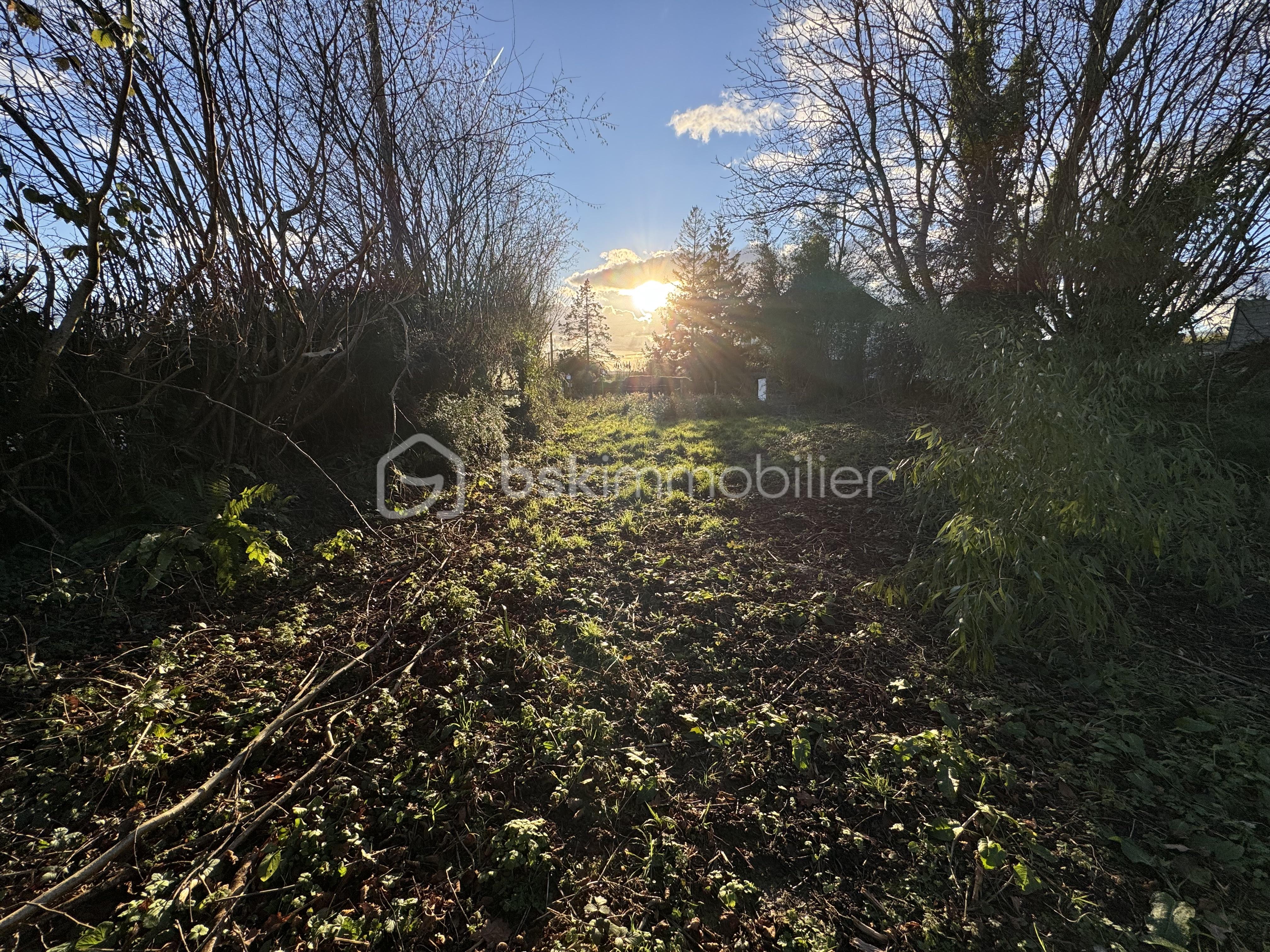 Terrain de 1 480 m² - IMG_4923.jpeg