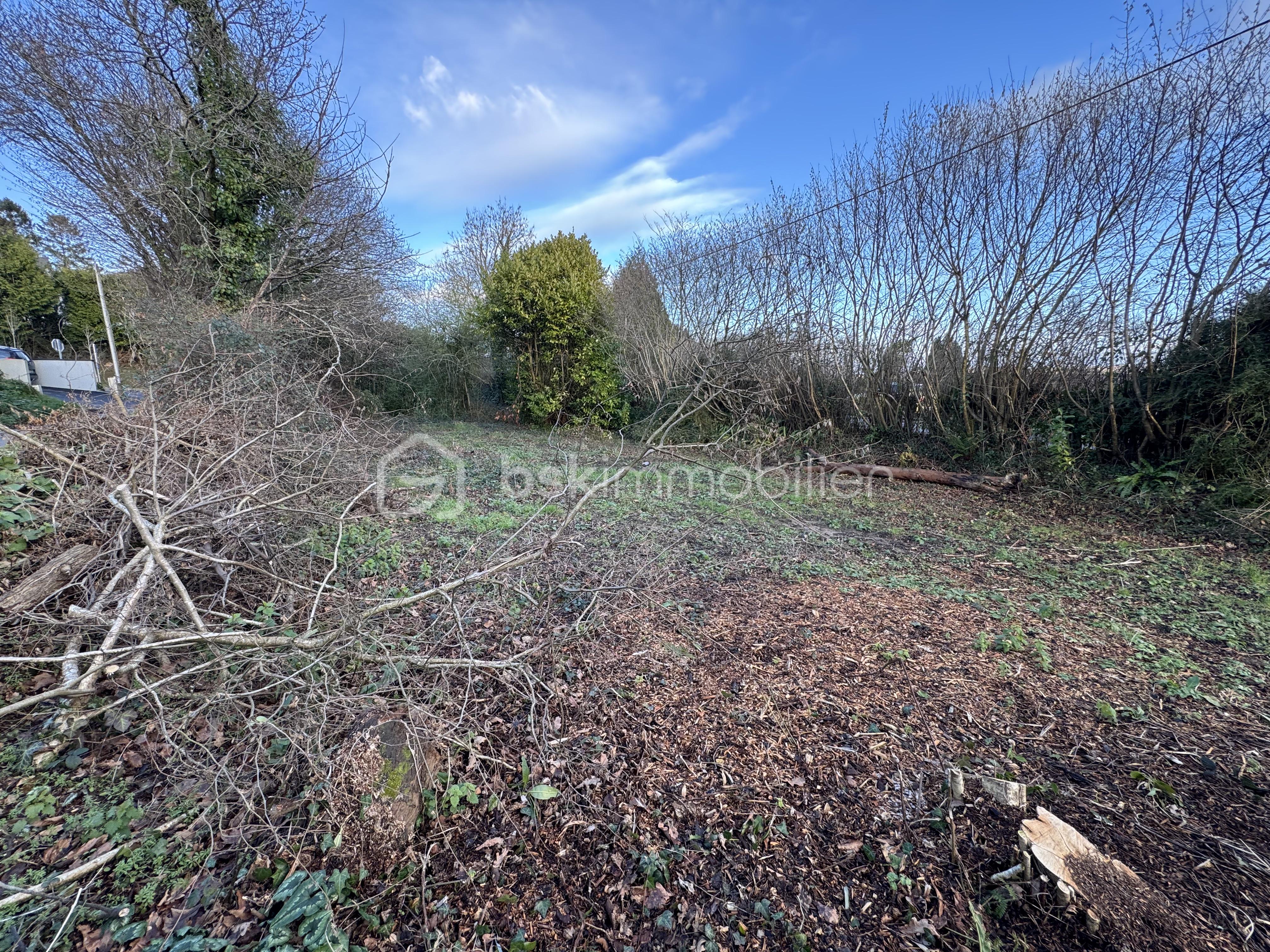 Terrain de 1 480 m² - IMG_4918.jpeg