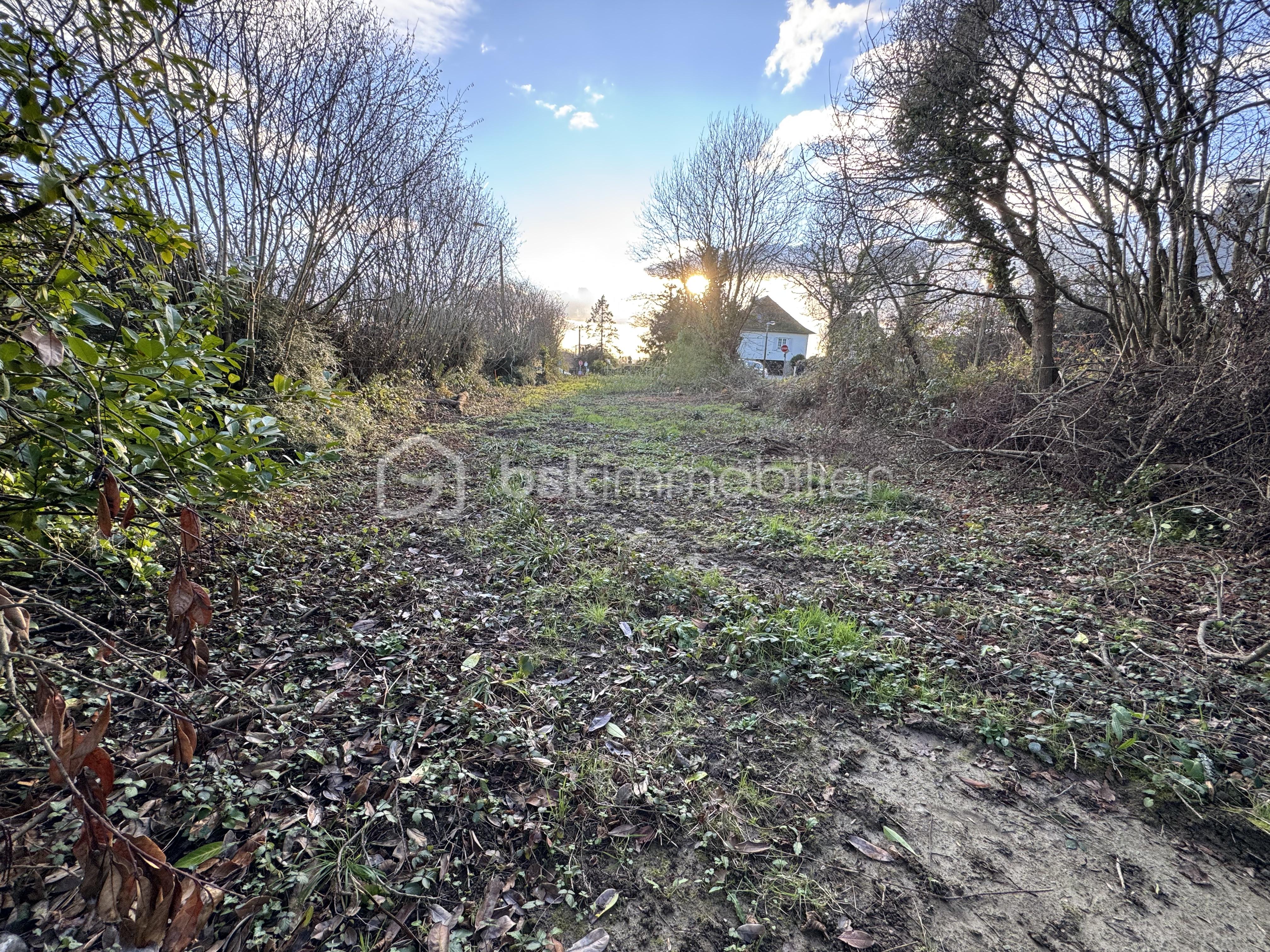 Terrain de 1 480 m² - IMG_4919.jpeg