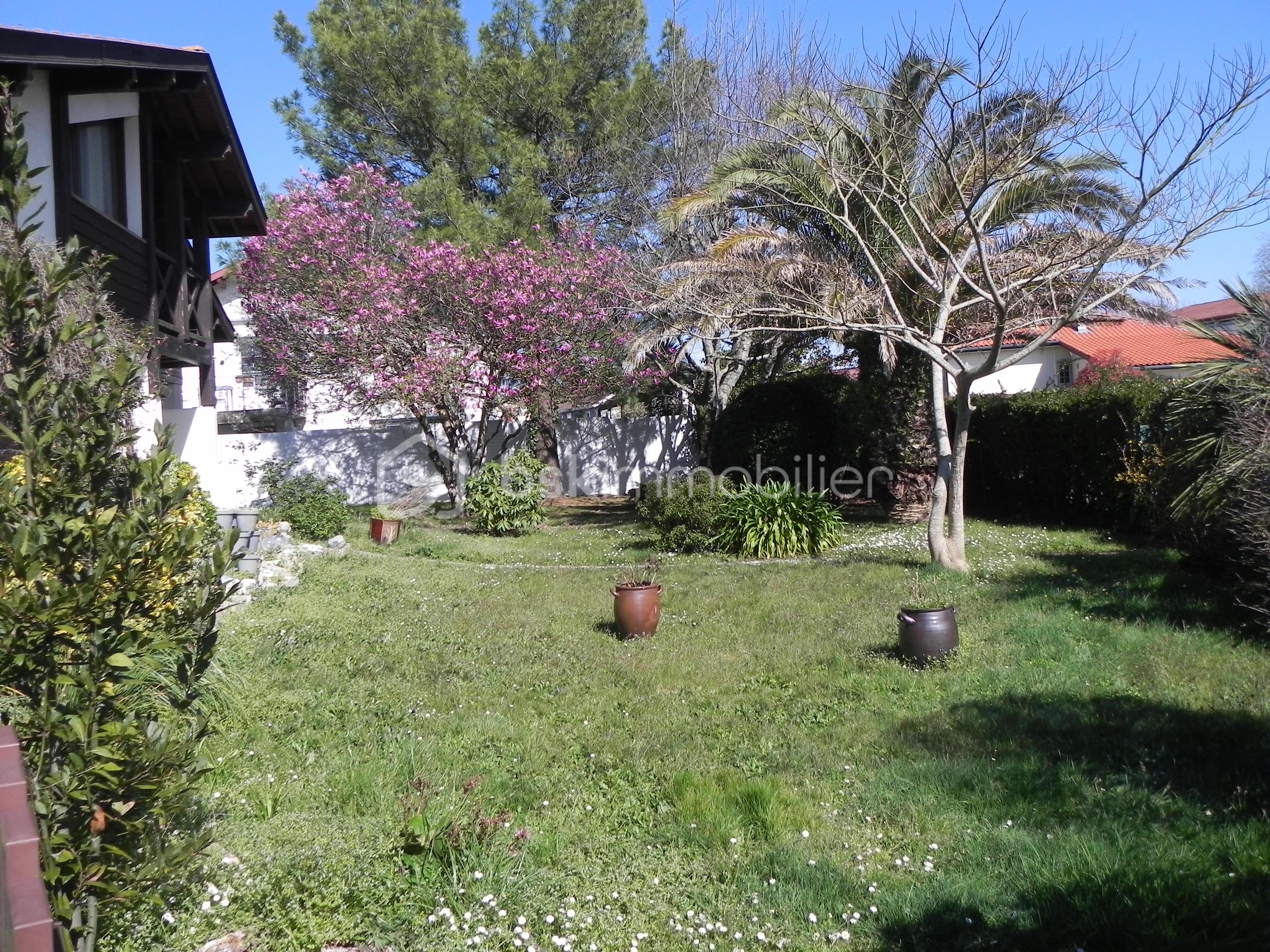 Maison contemporaine de 131 m² - DSCN2442.JPG