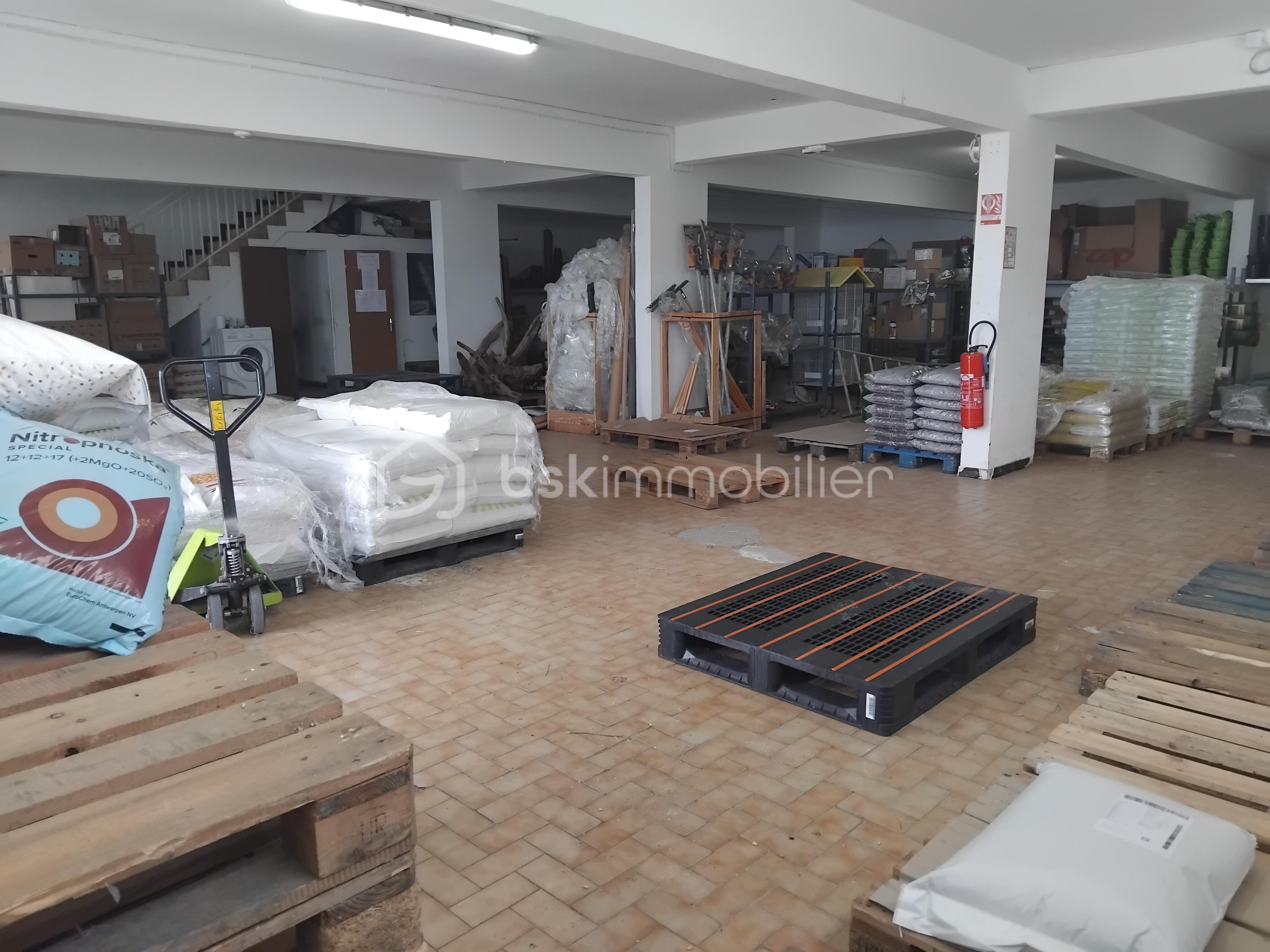 Local commercial de 440 m² - local ss sol.jpg