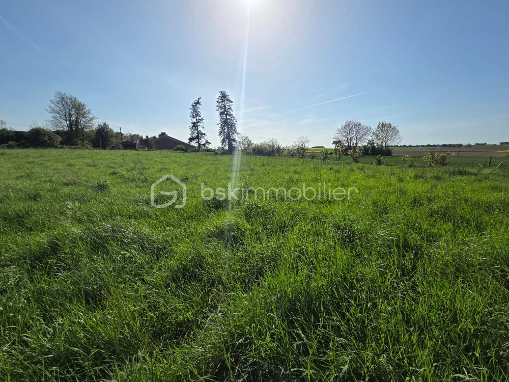 SEGEAT TERRAIN 2.jpeg