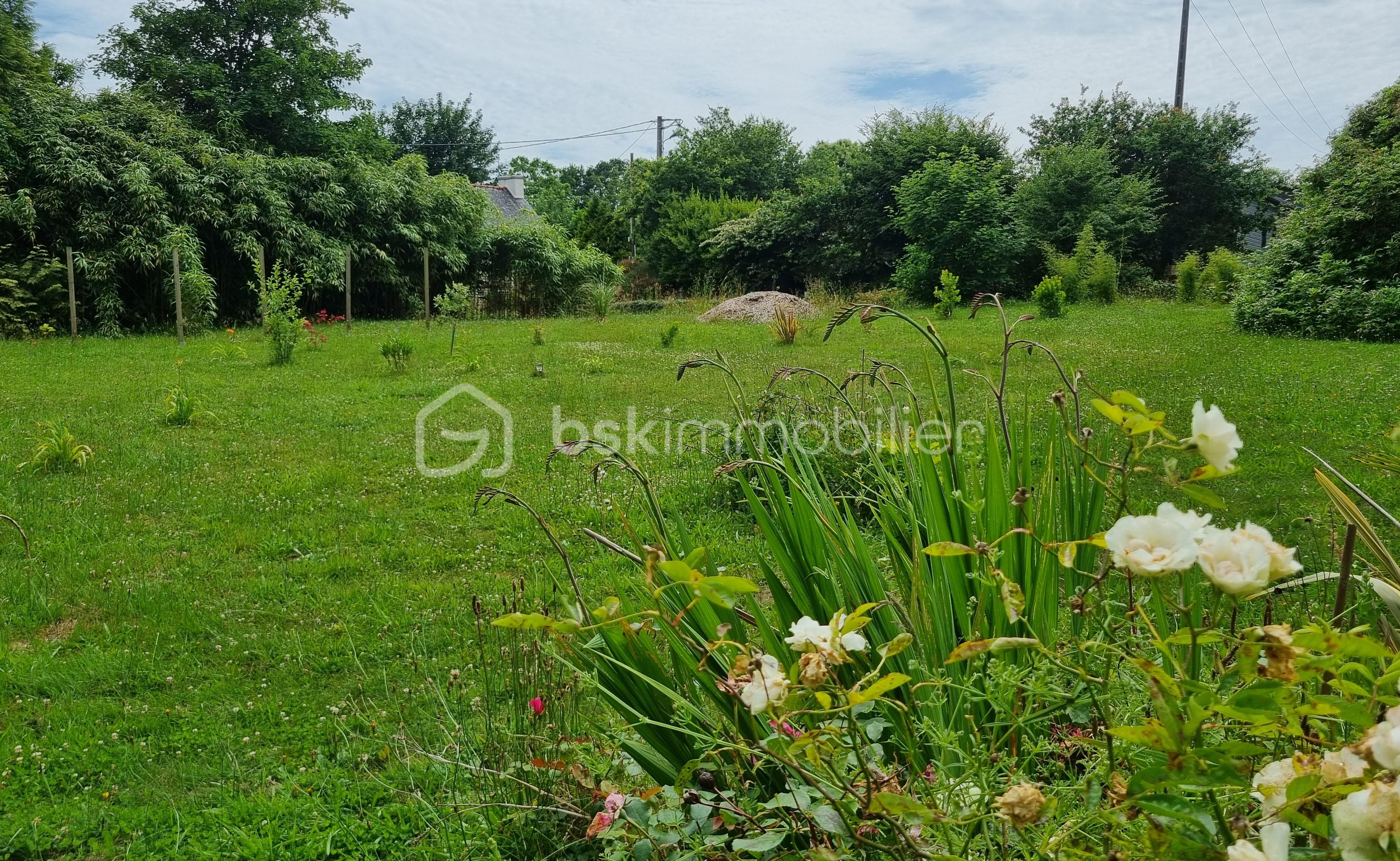 Jardin 2.jpg