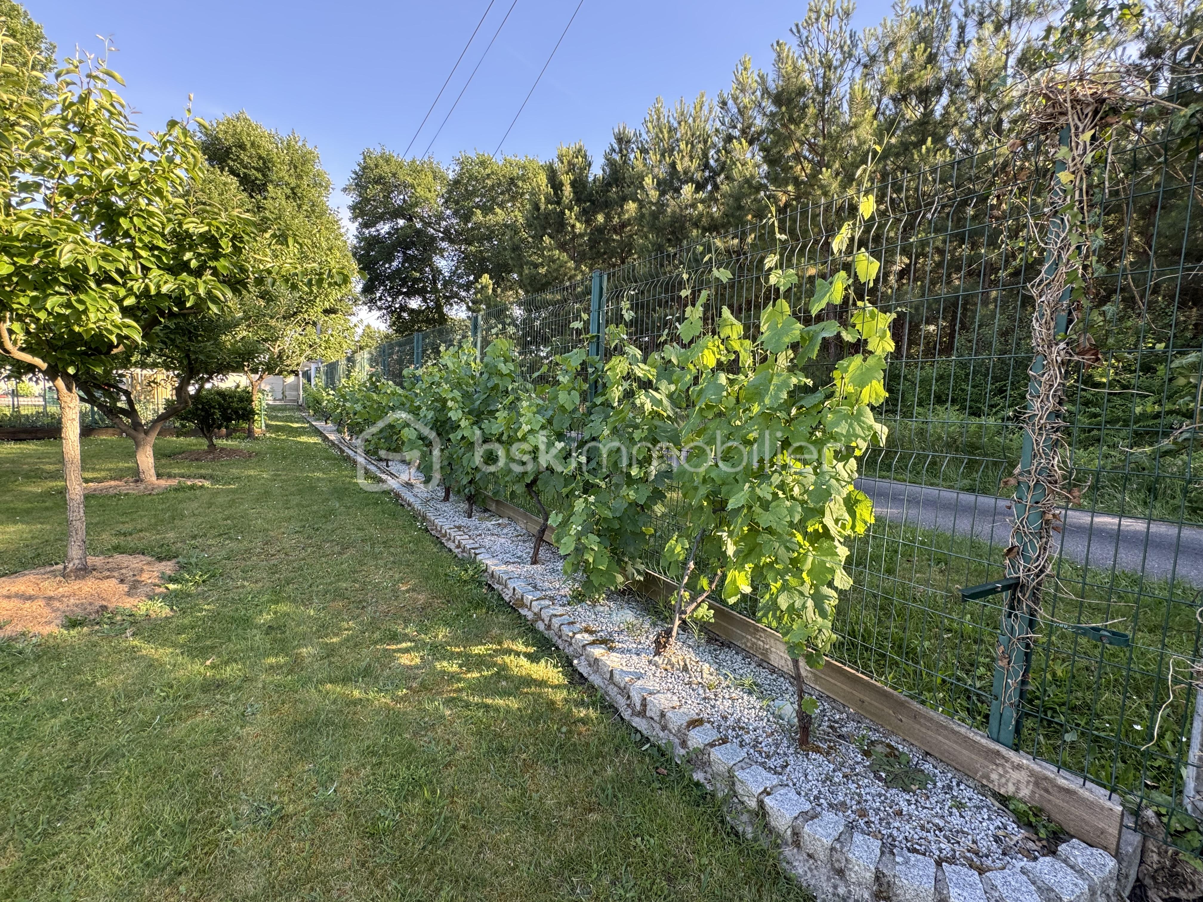Chemin pour aller aux maisons.jpeg