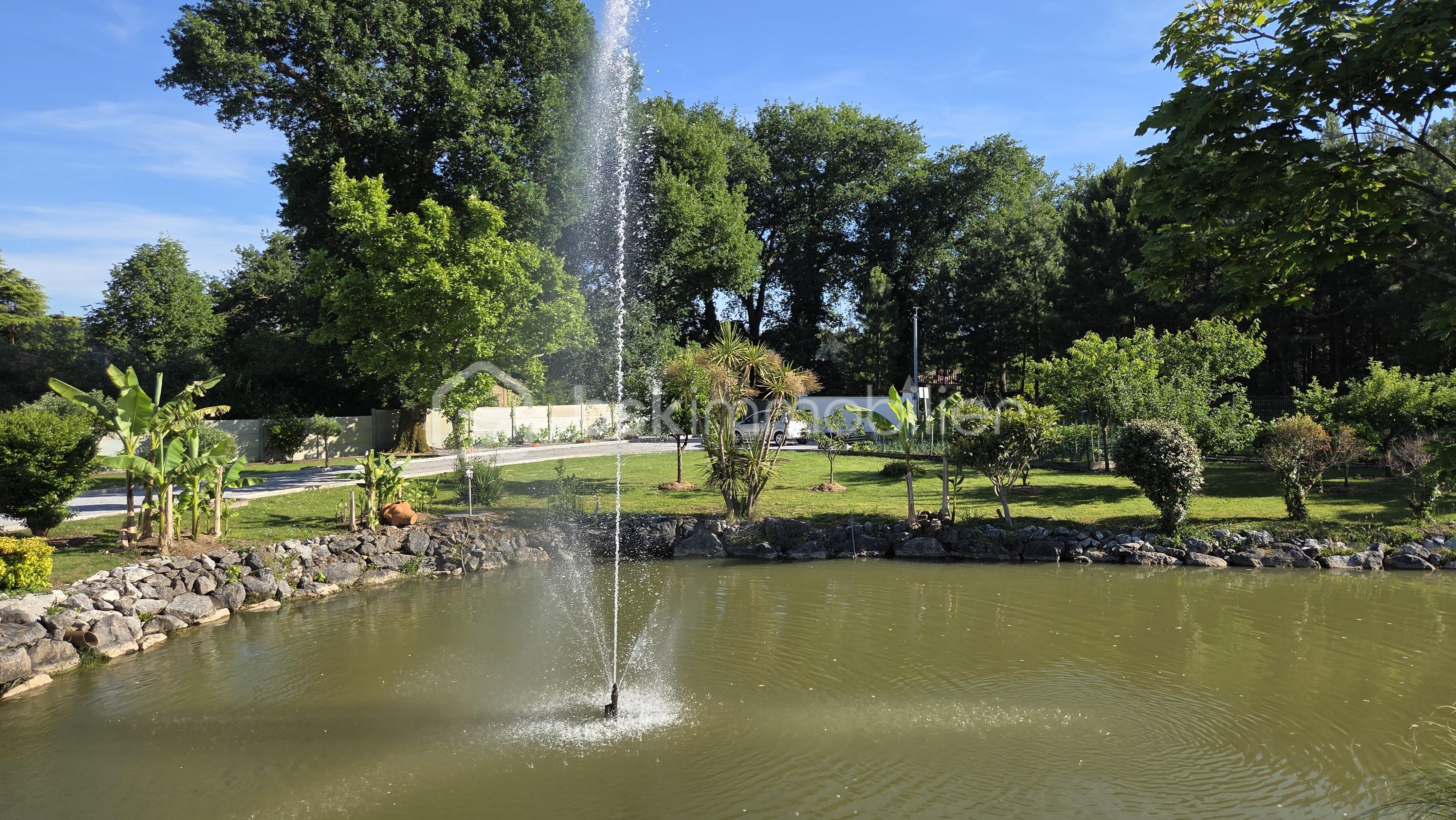 Etang 10.jpg