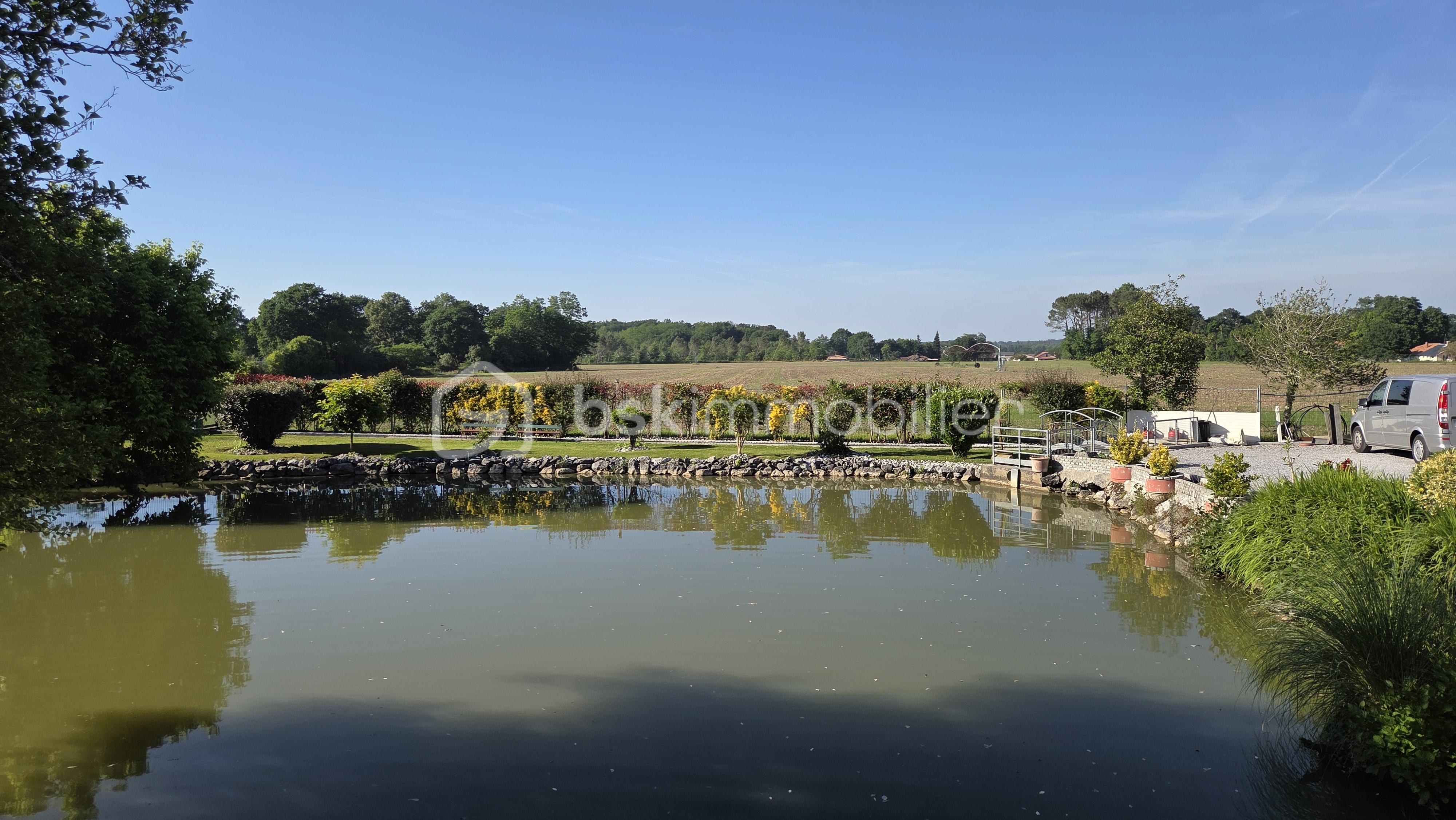 Etang 7.jpg