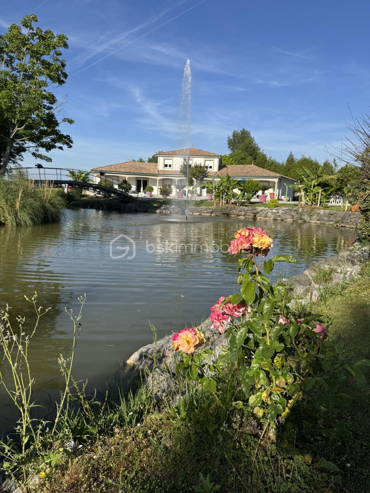Vue d'ensemble de la propriété.jfif