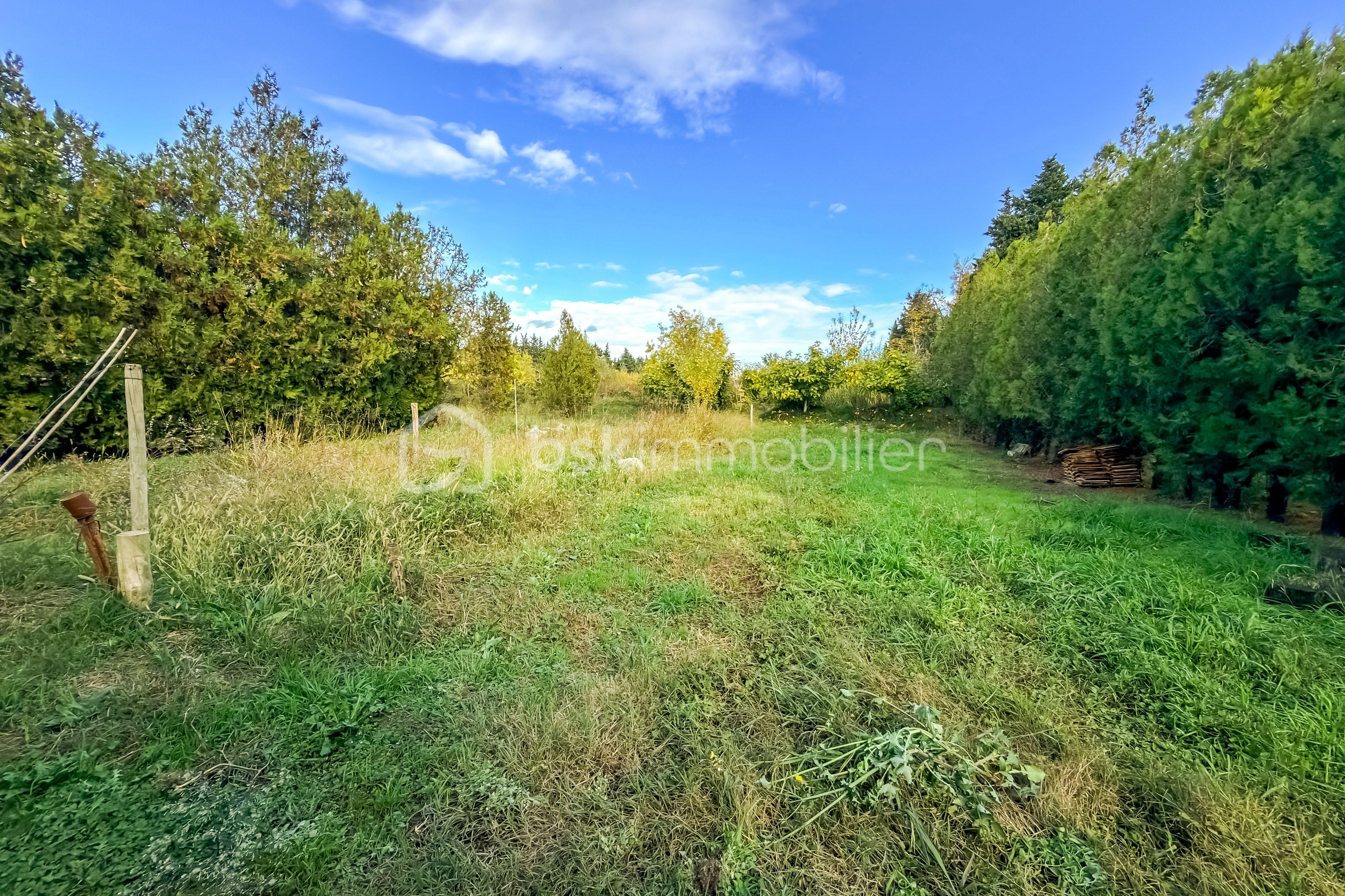 Picthouse 71575-7.jpg