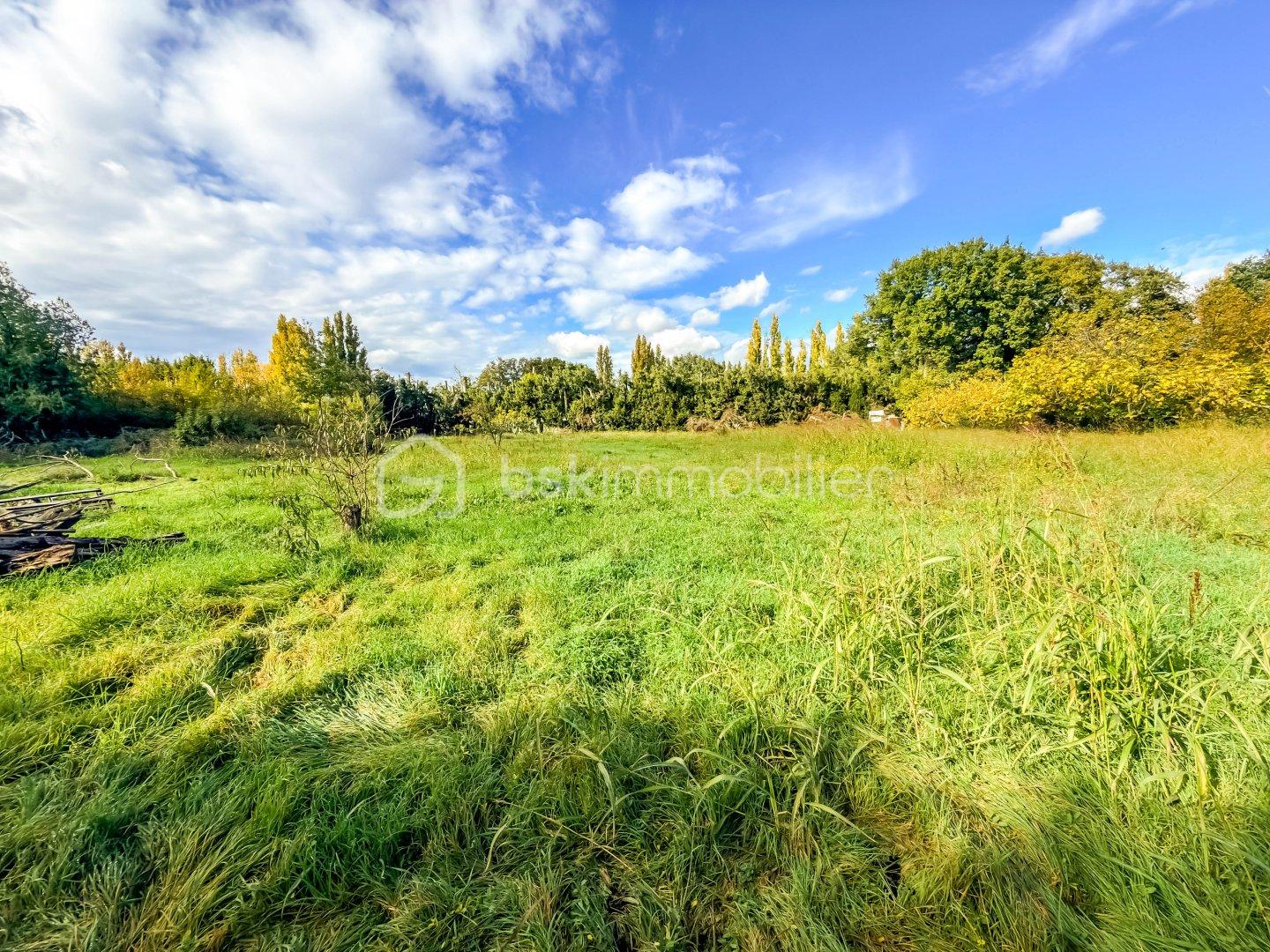 WEB_Picthouse 71575-16.jpg