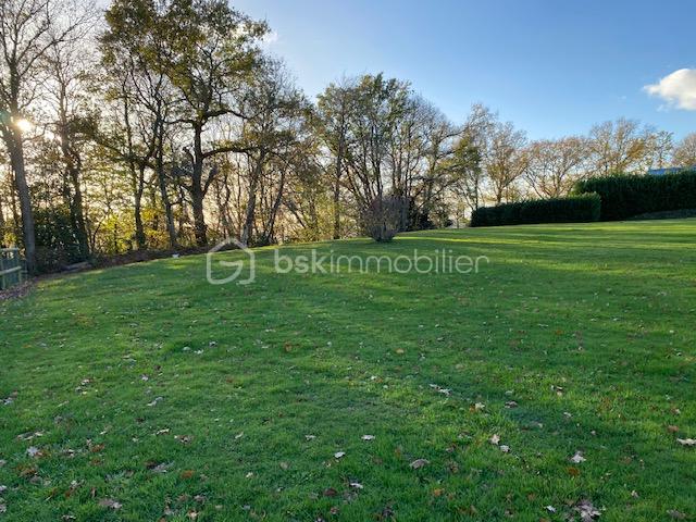 Maison contemporaine de 262 m² - terrain.jpg