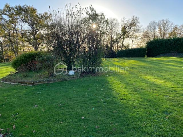 Maison contemporaine de 262 m² - jardin .jpg