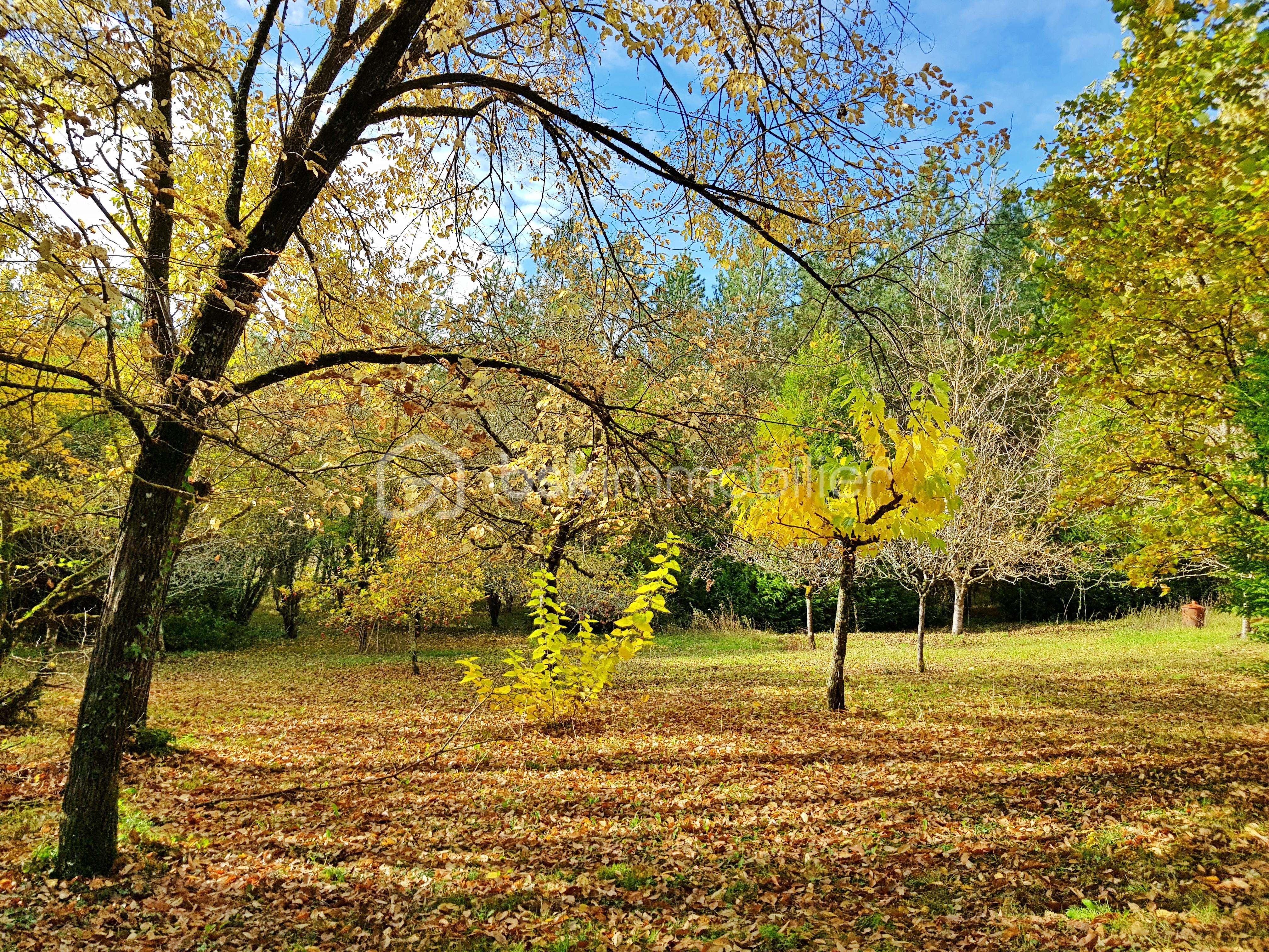 Maison de 77 m² - 3.jpg