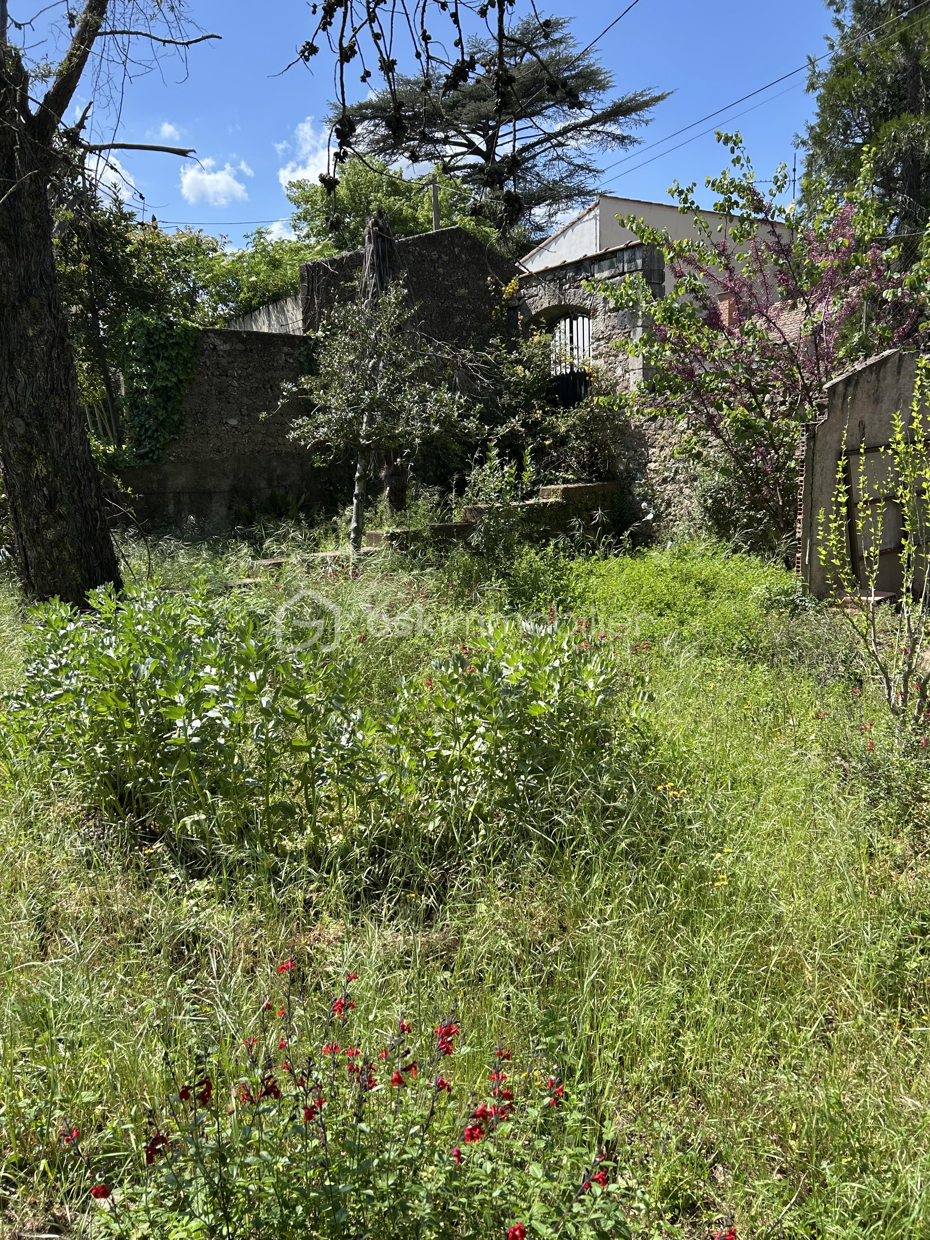 IMG_6199.jpeg