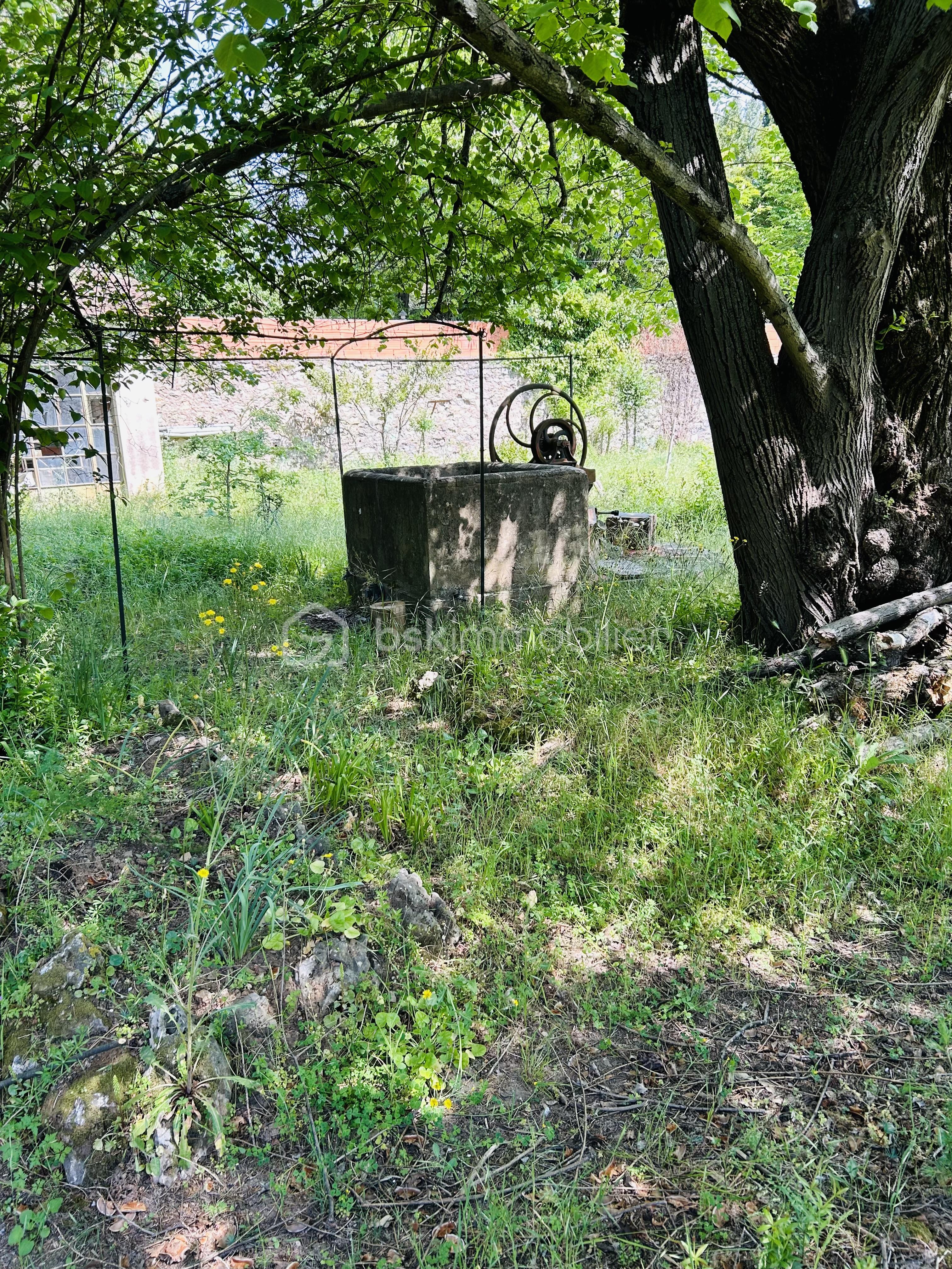 IMG_6201.jpeg