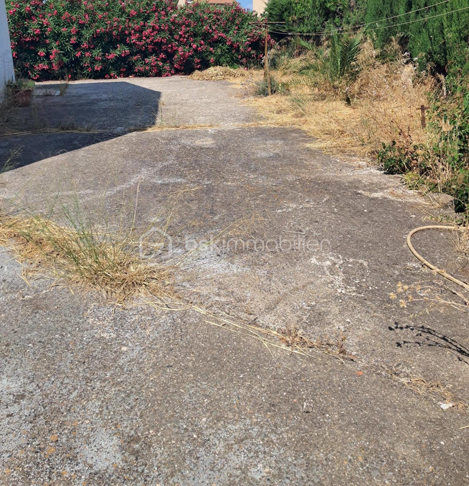 terrain 6.jpg