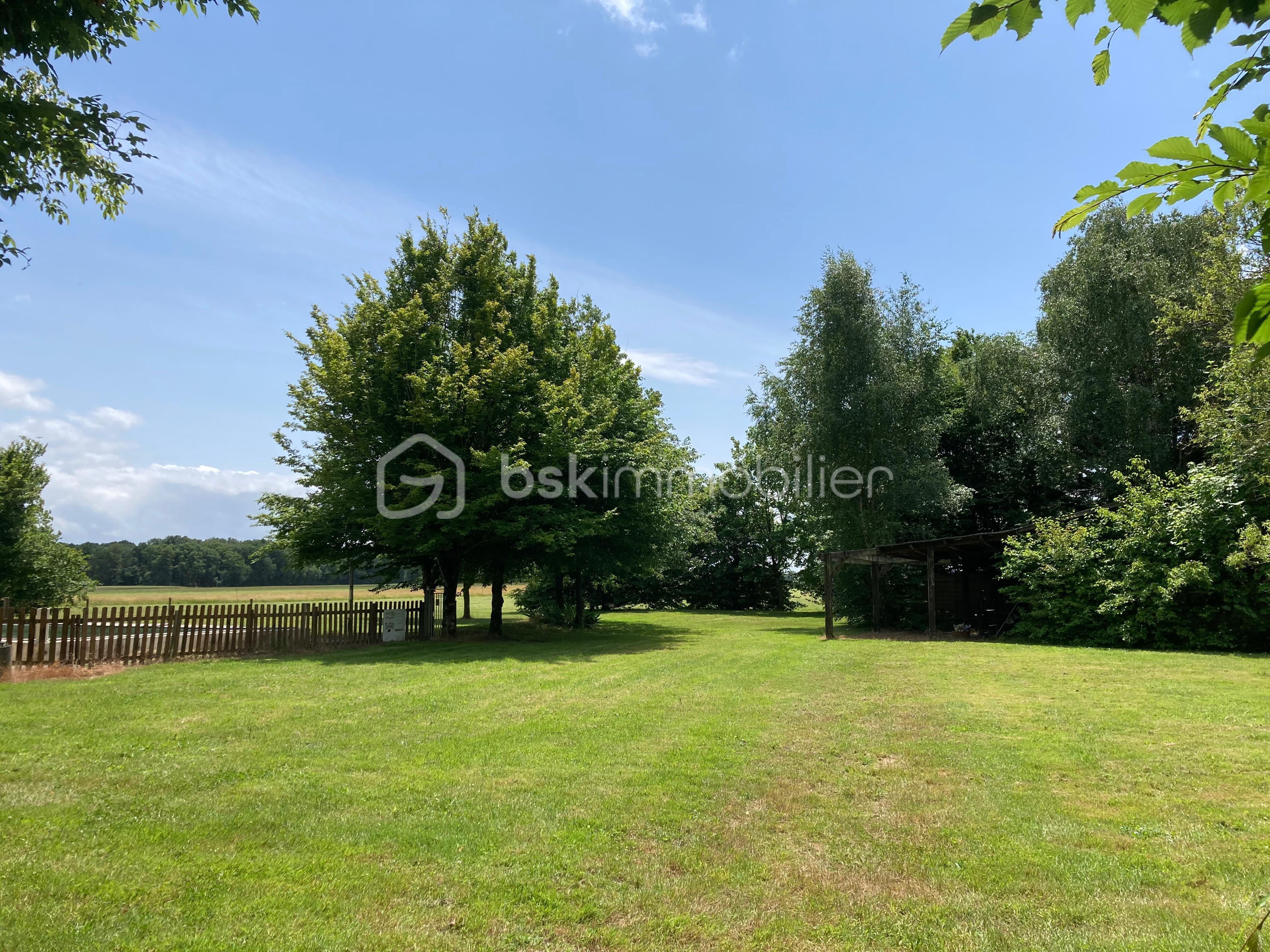 WhatsApp Image 2025-10-13 à 23.00.06_3e057dae.jpg