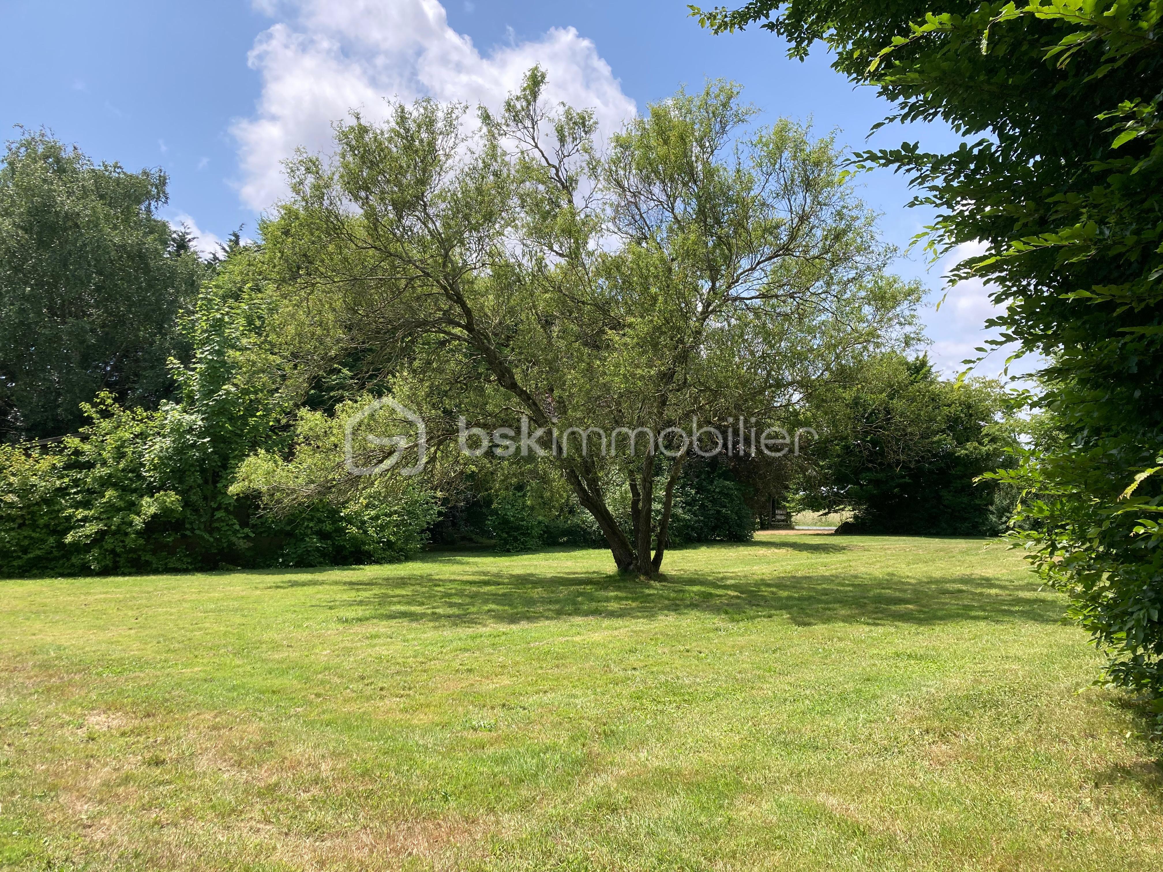 WhatsApp Image 2025-10-13 à 23.00.06_68fa68f6.jpg