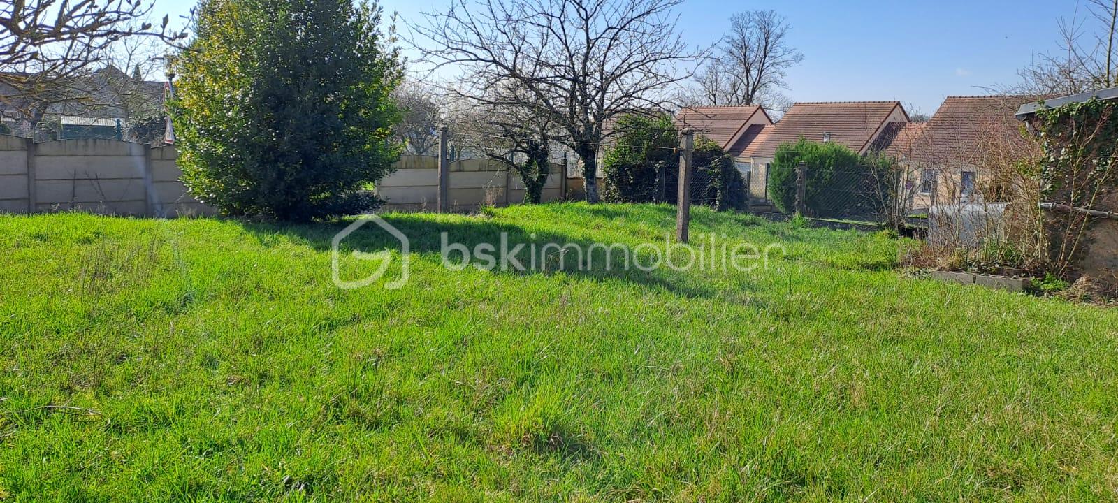 WhatsApp Image 2026-03-17 at 16.23.174.jpeg