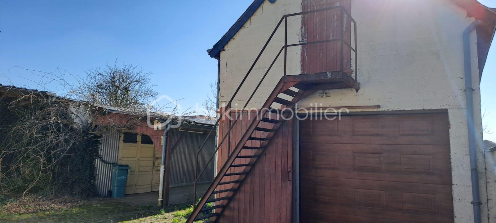 WhatsApp Image 2026-03-17 at 16.23.177.jpeg