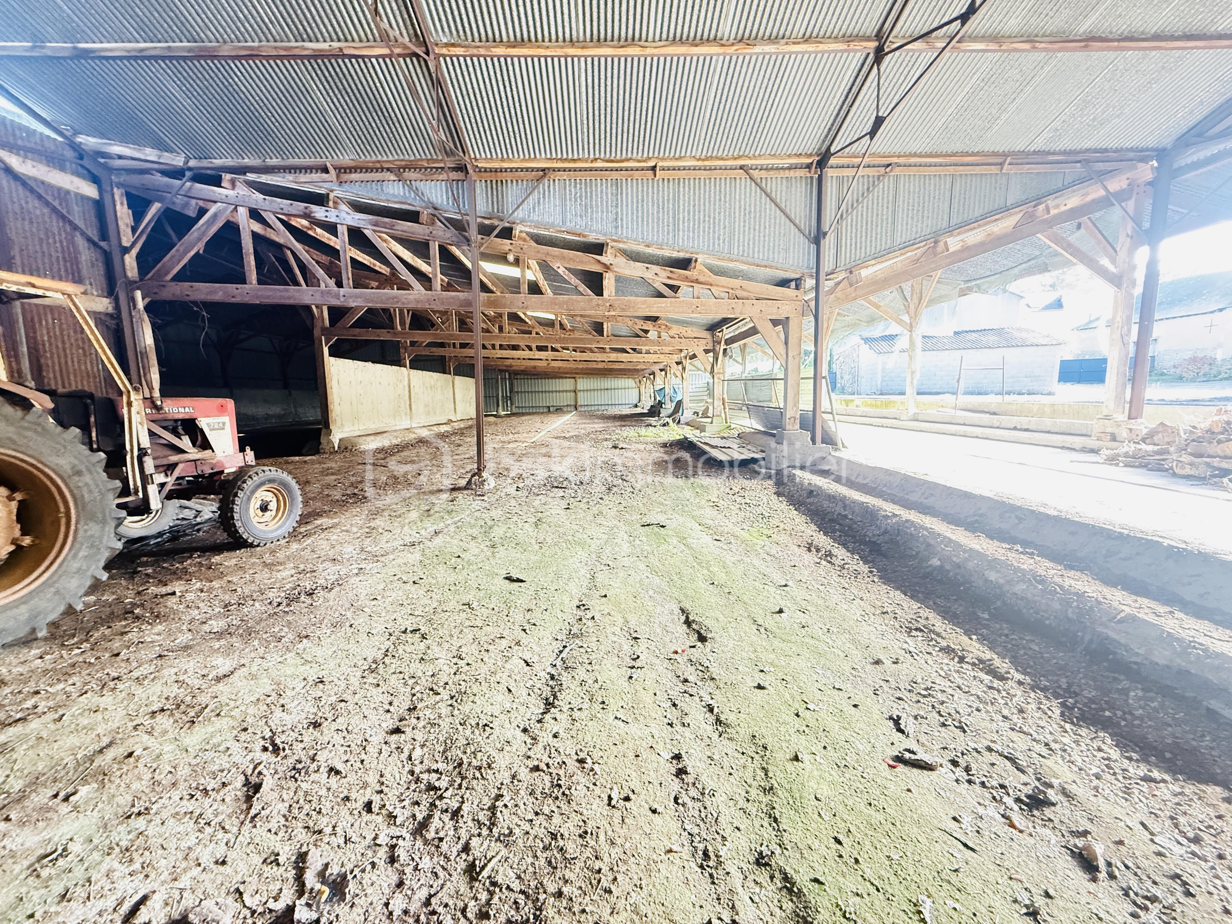 Maison de 86 m² - IMG_8010.jpg